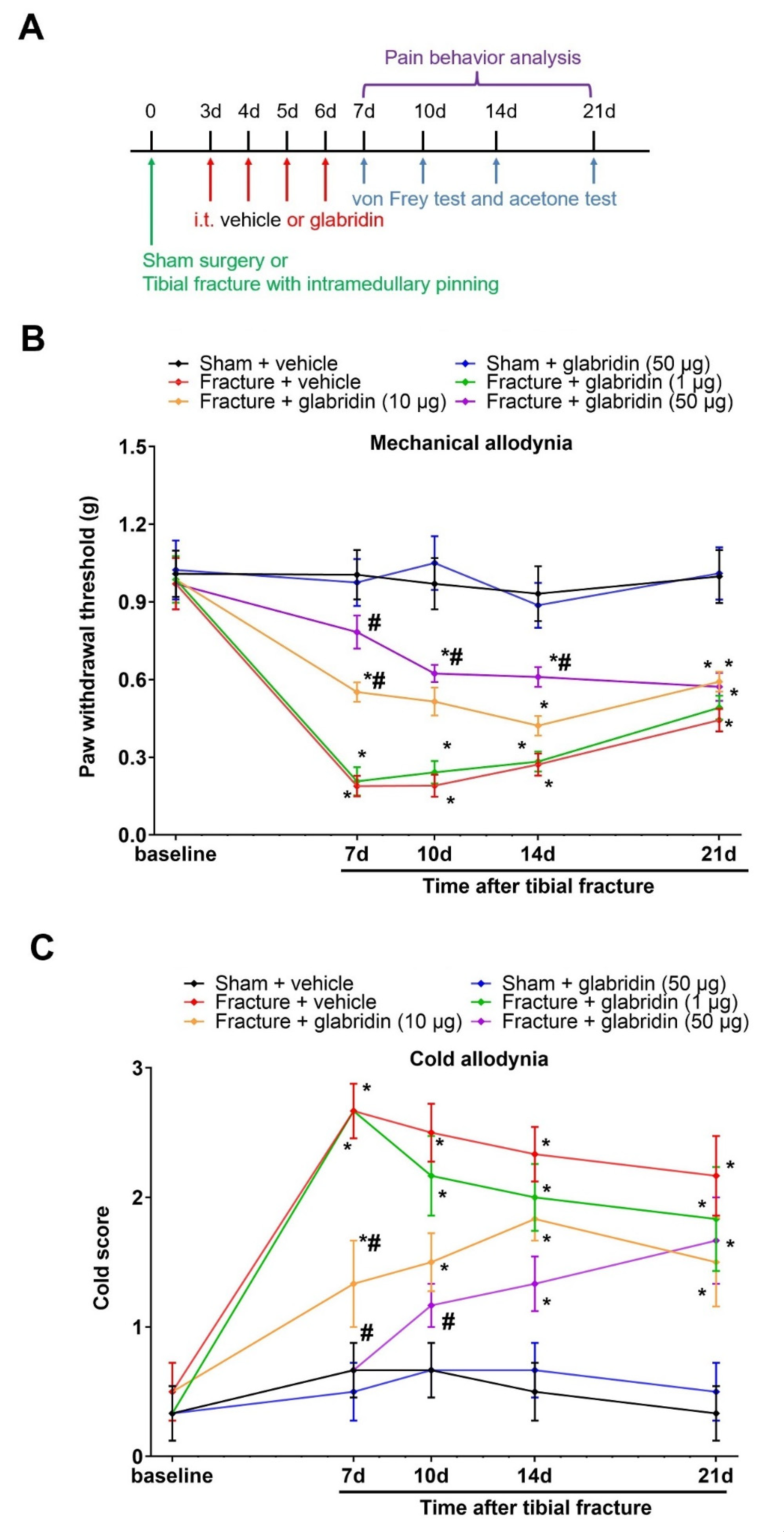 Brainsci 13 00739 g001 Brainsci 13 00739 g001