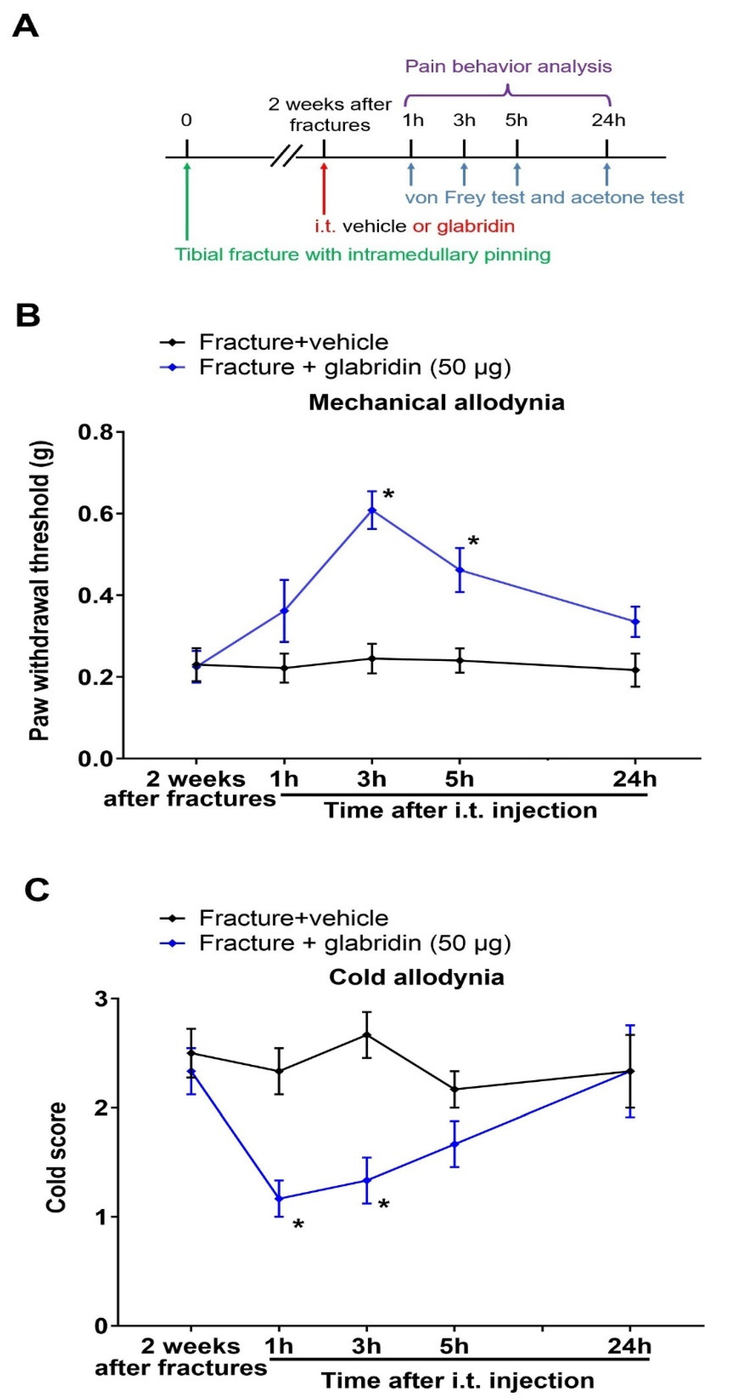 Brainsci 13 00739 g003 Brainsci 13 00739 g003