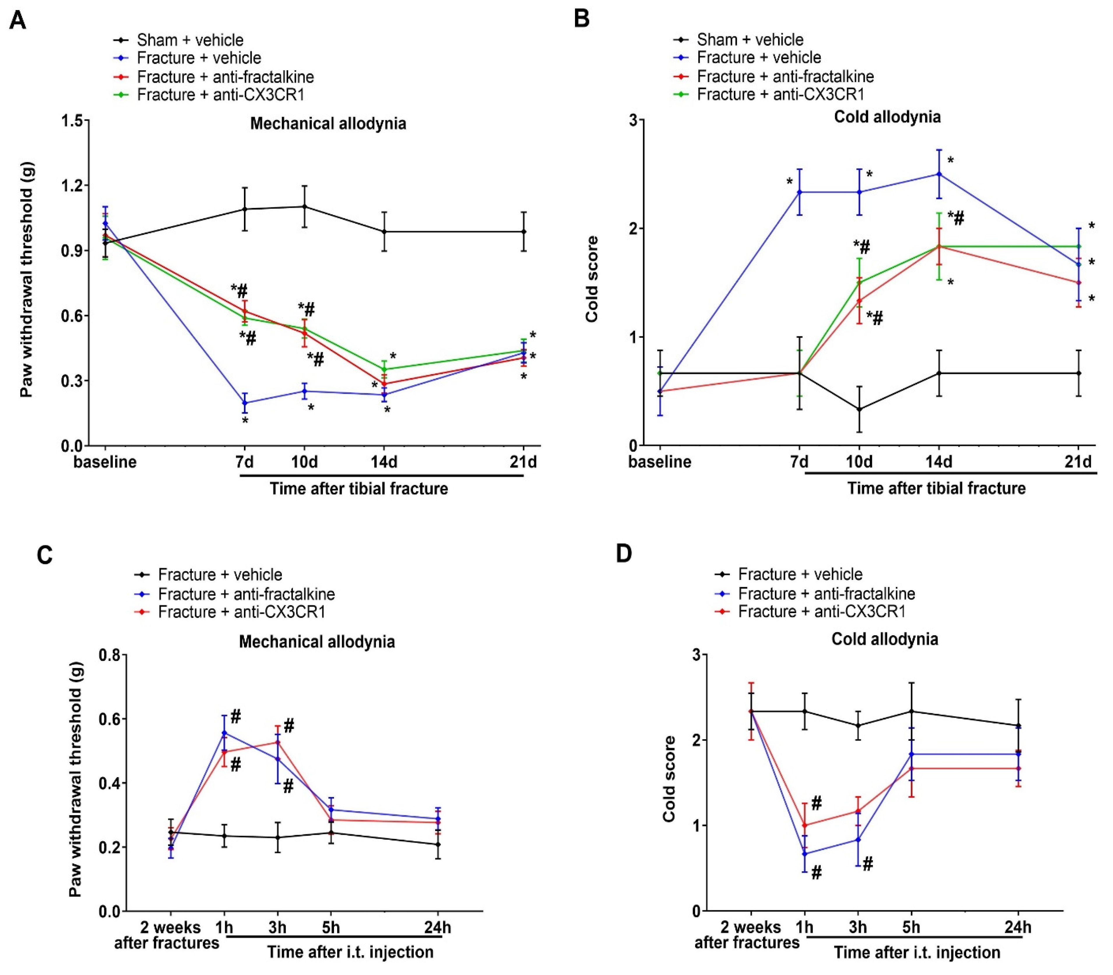 Brainsci 13 00739 g004 Brainsci 13 00739 g004