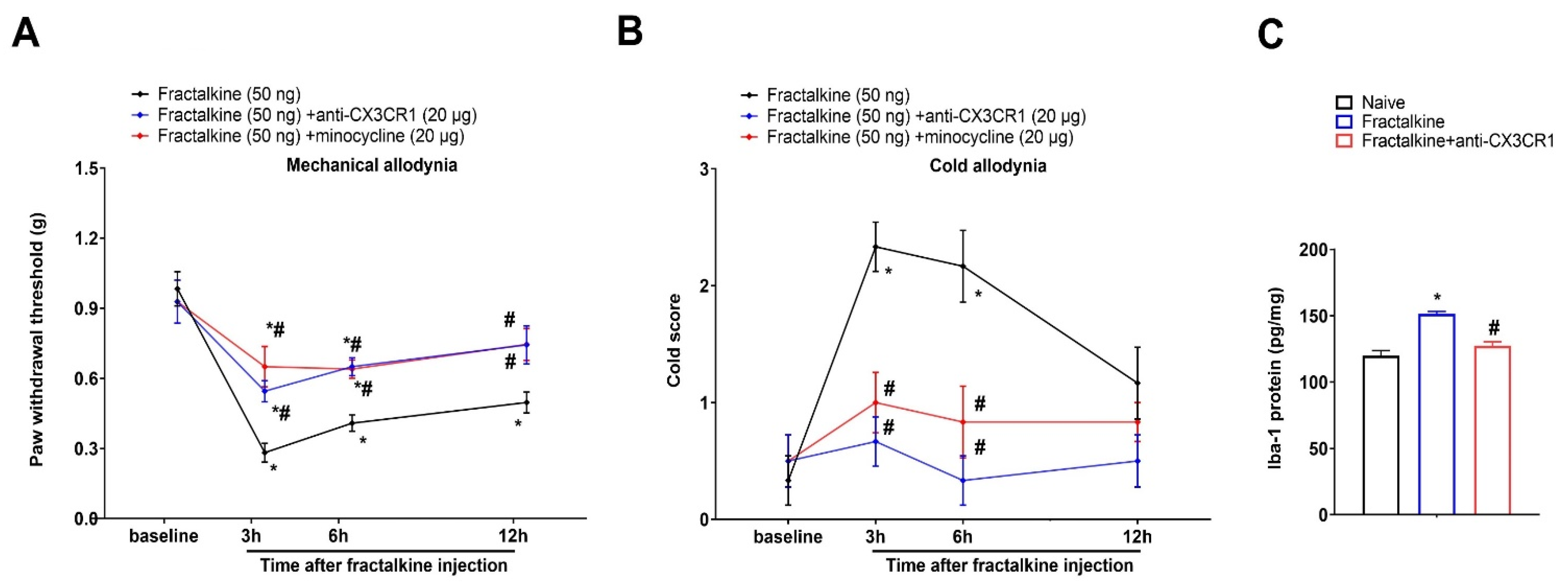 Brainsci 13 00739 g006 Brainsci 13 00739 g006