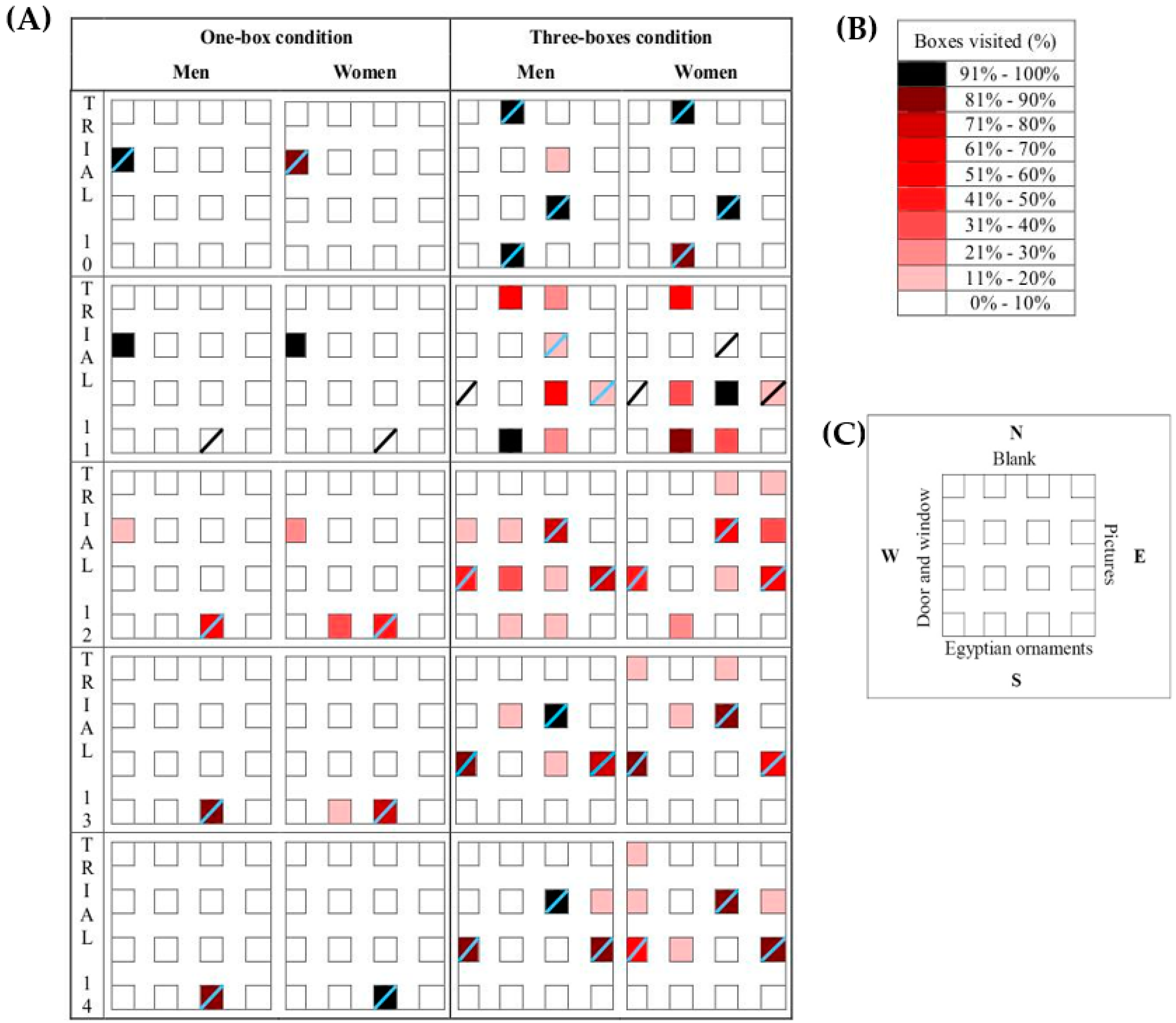 Brainsci 13 00740 g005