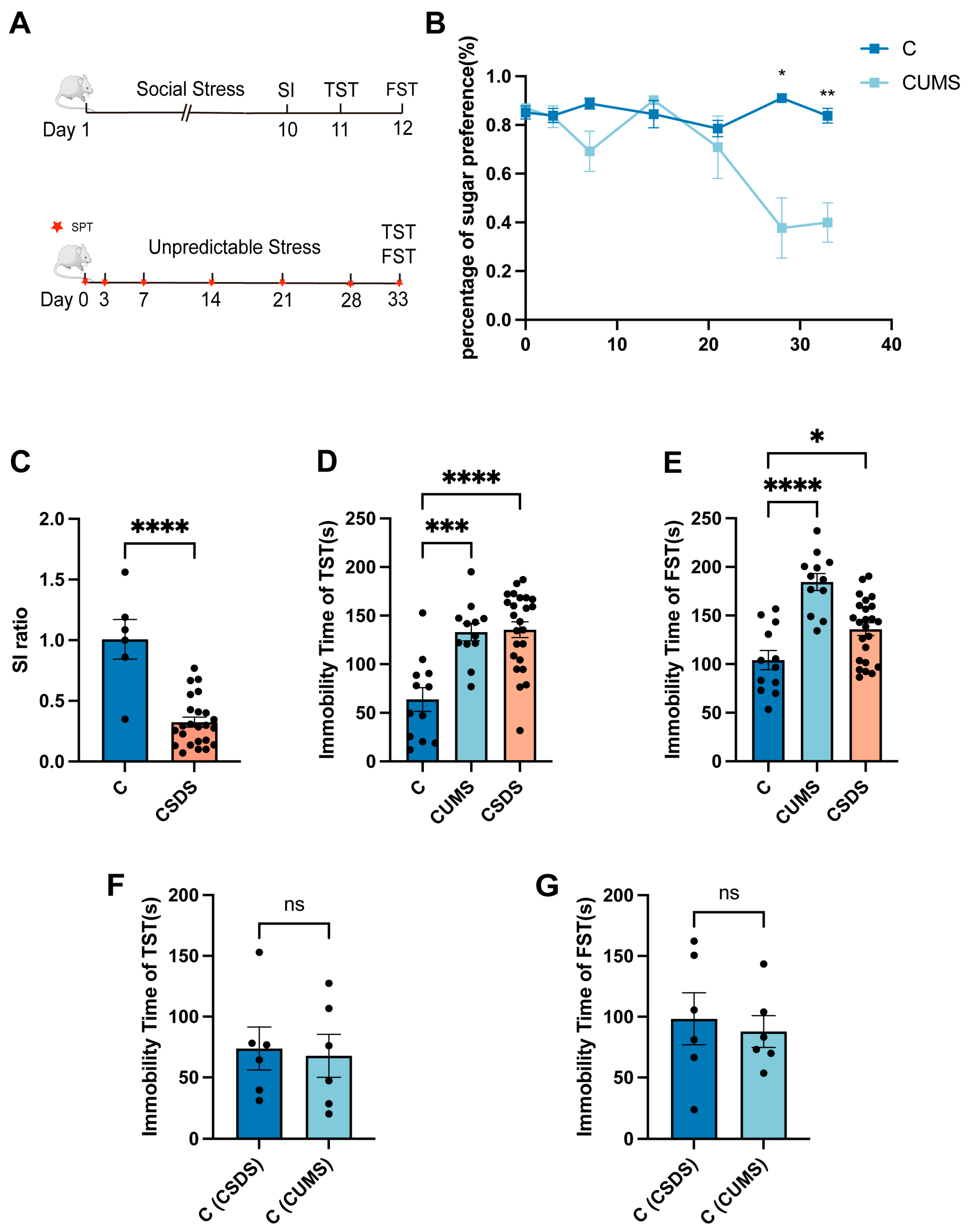 Brainsci 13 00763 g001 Brainsci 13 00763 g001