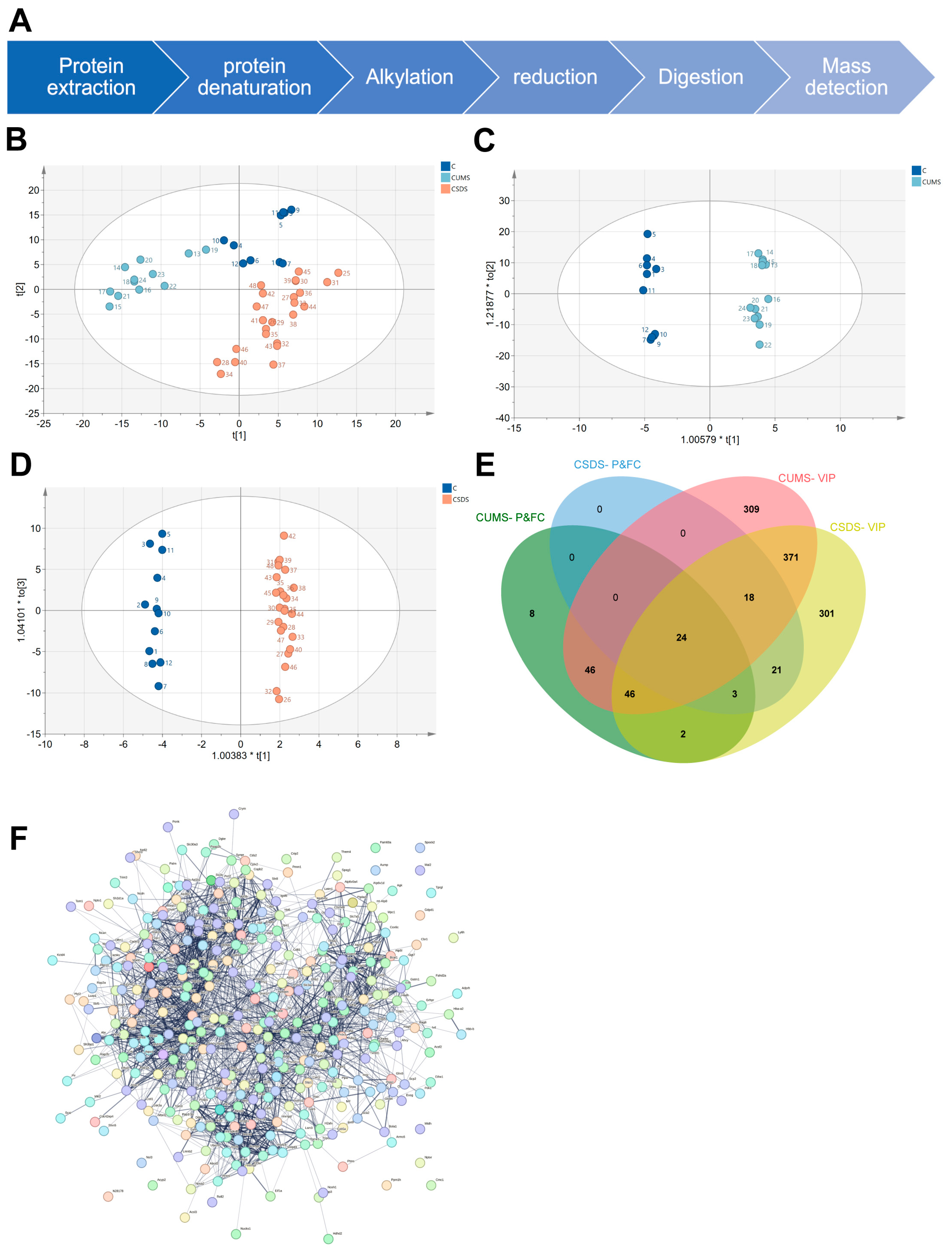 Brainsci 13 00763 g002 Brainsci 13 00763 g002