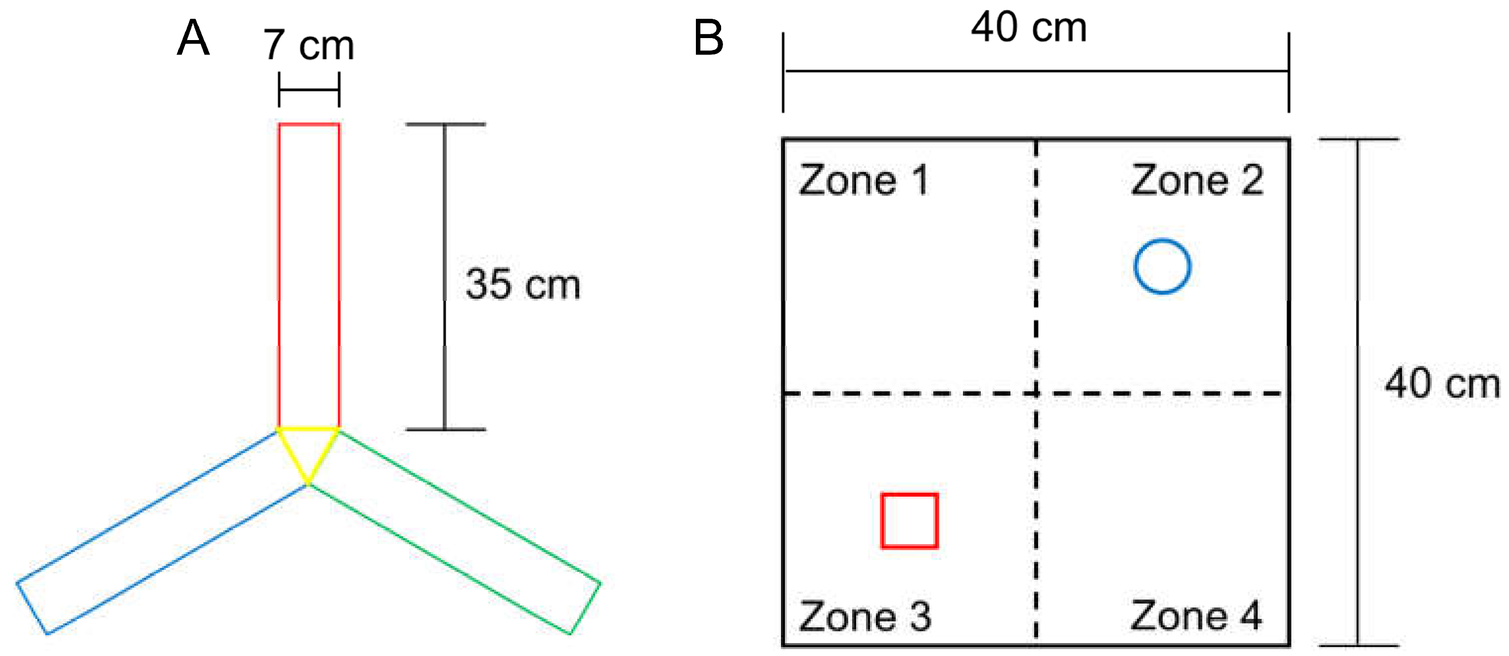 Brainsci 13 00781 g002