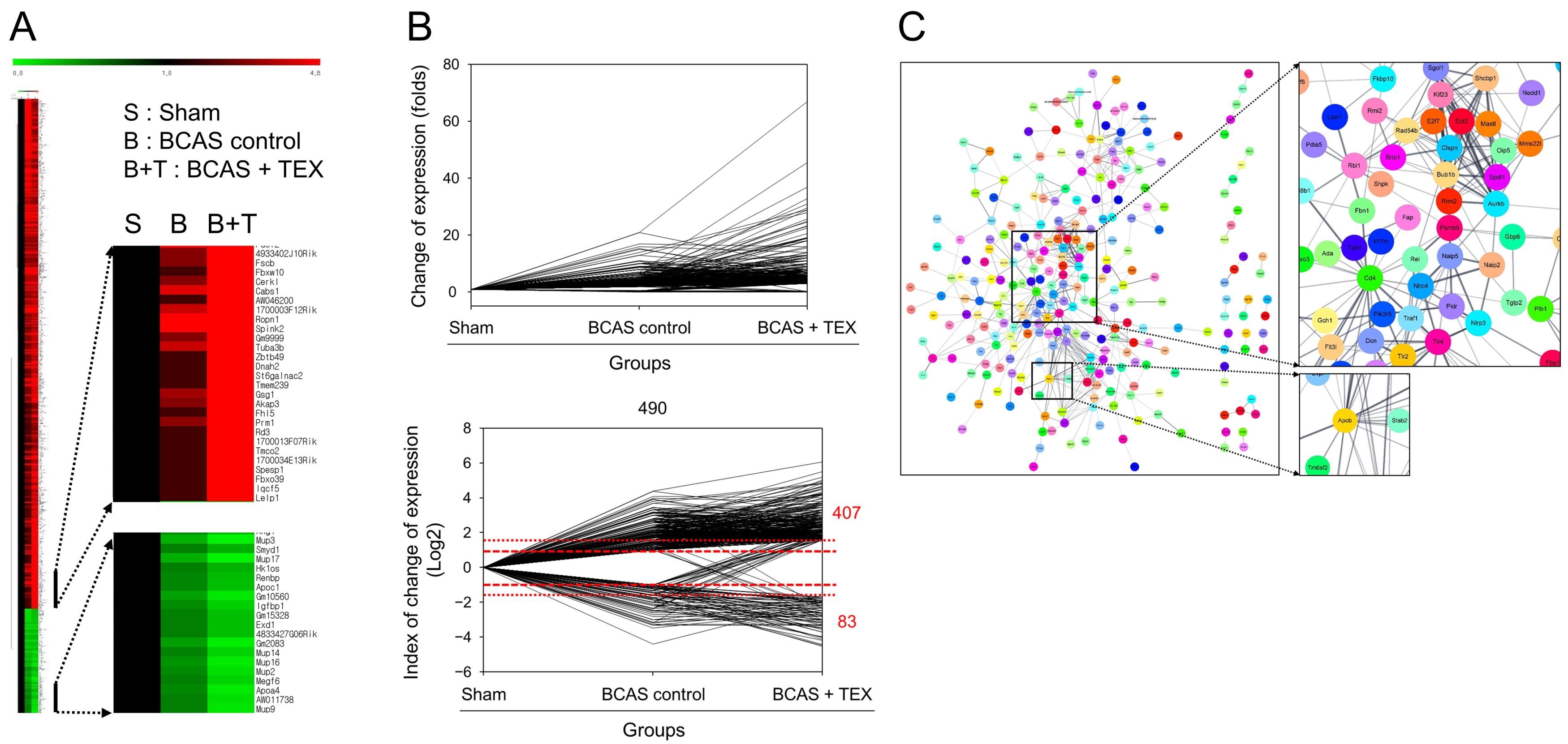 Brainsci 13 00781 g006