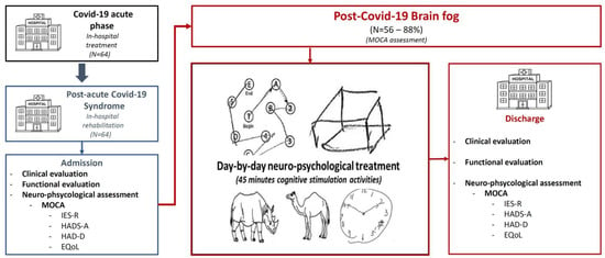 Brain Sciences Free Full Text Effects of Multidisciplinary