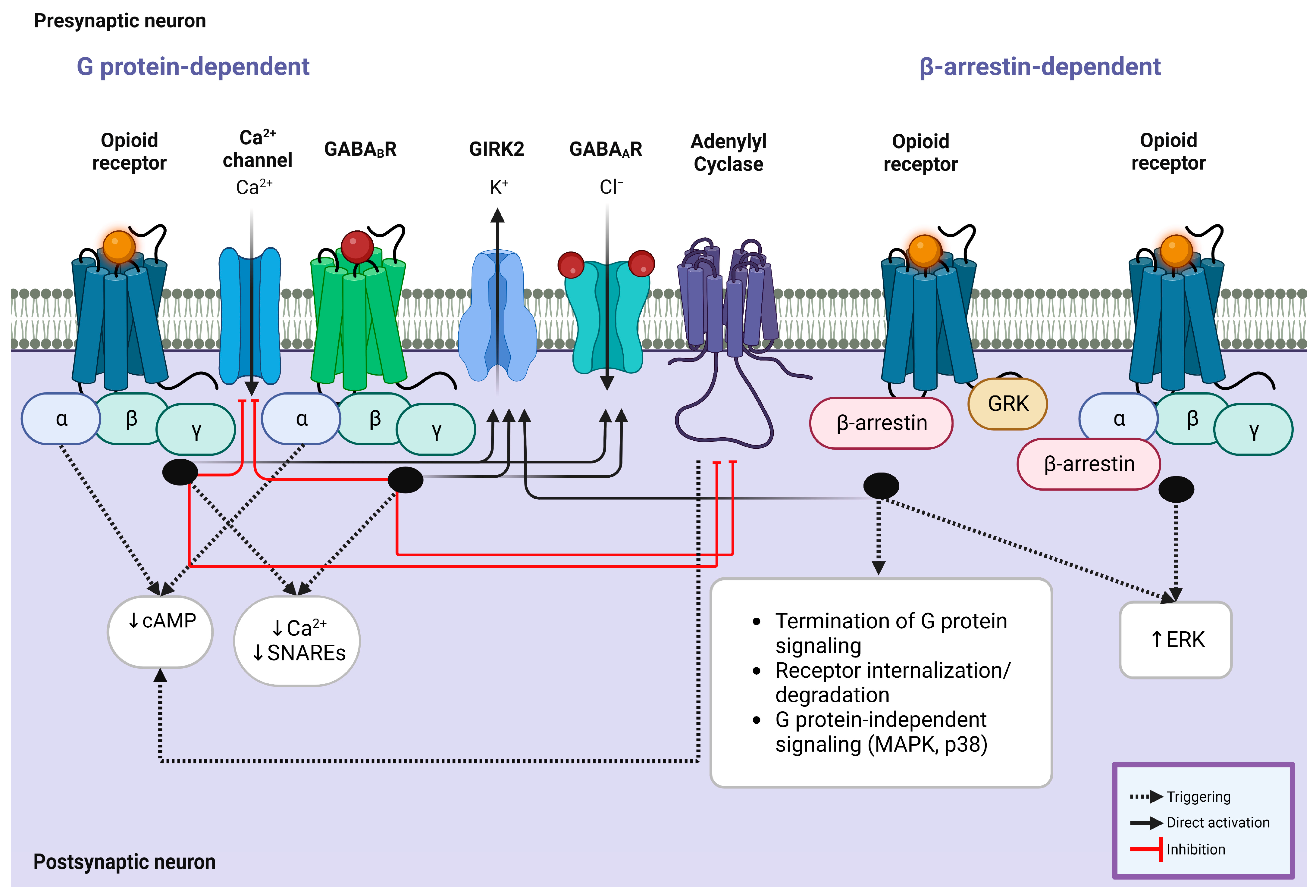 Brainsci 13 00815 g002 Brainsci 13 00815 g002