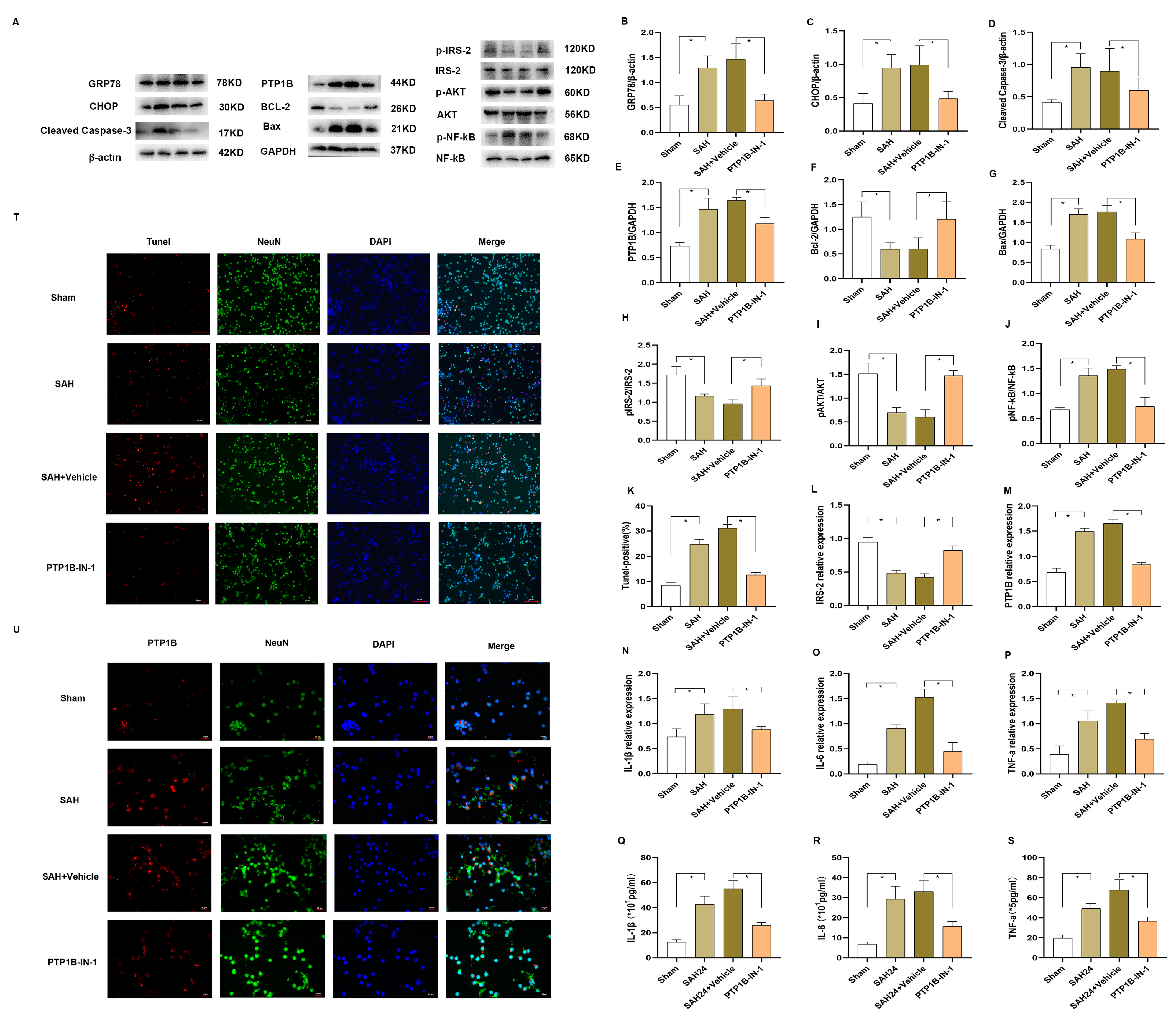 Long-term Multidomain Patterns of Change After Traumatic Brain Injury