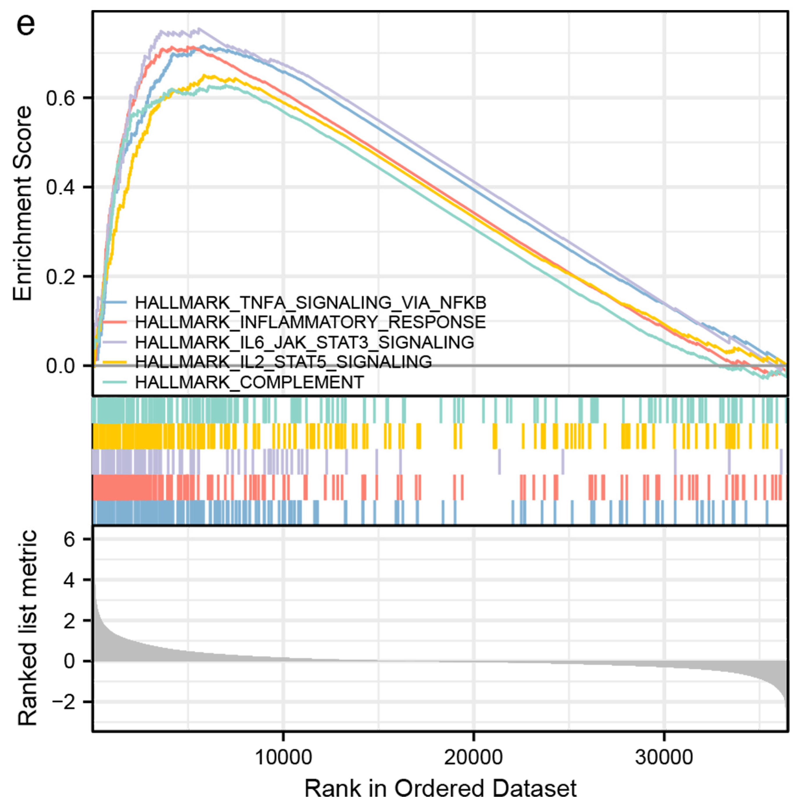 Brainsci 13 00851 g002c