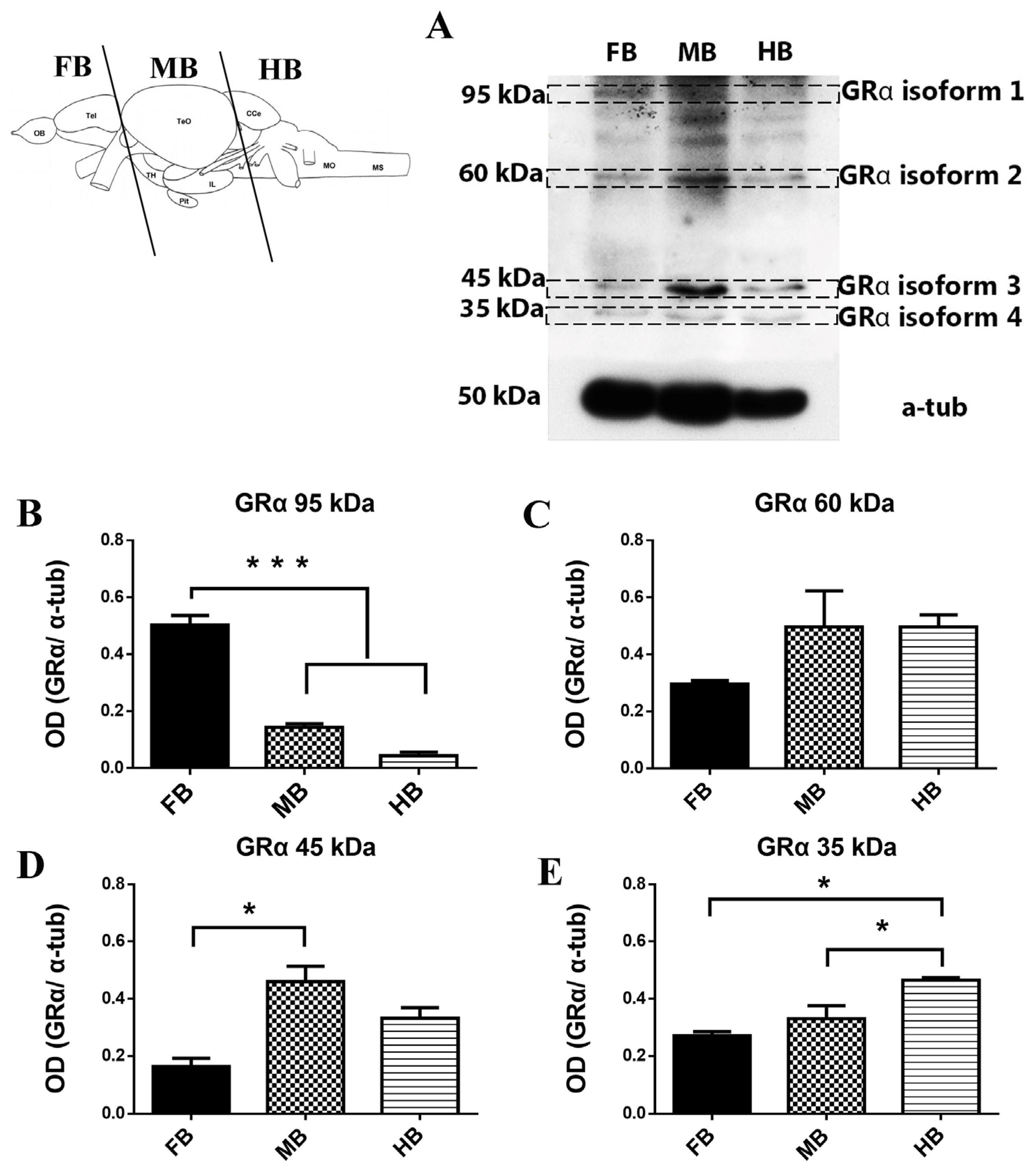Brainsci 13 00861 g001 Brainsci 13 00861 g001