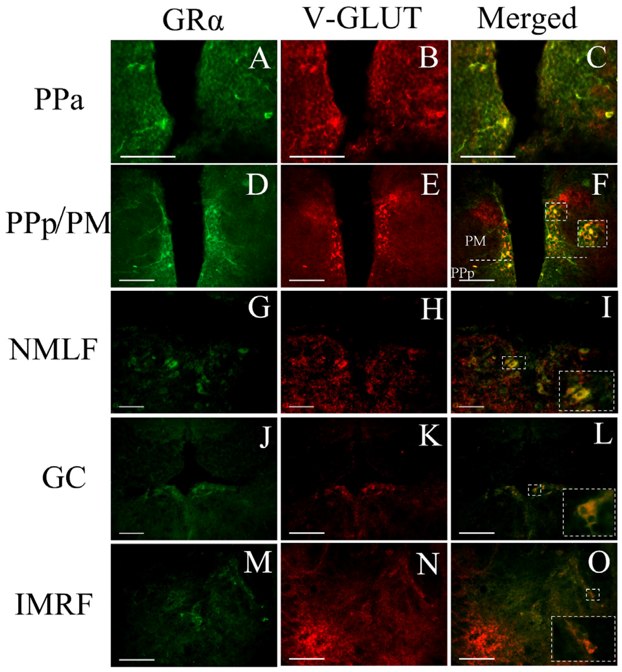 Brainsci 13 00861 g007 Brainsci 13 00861 g007