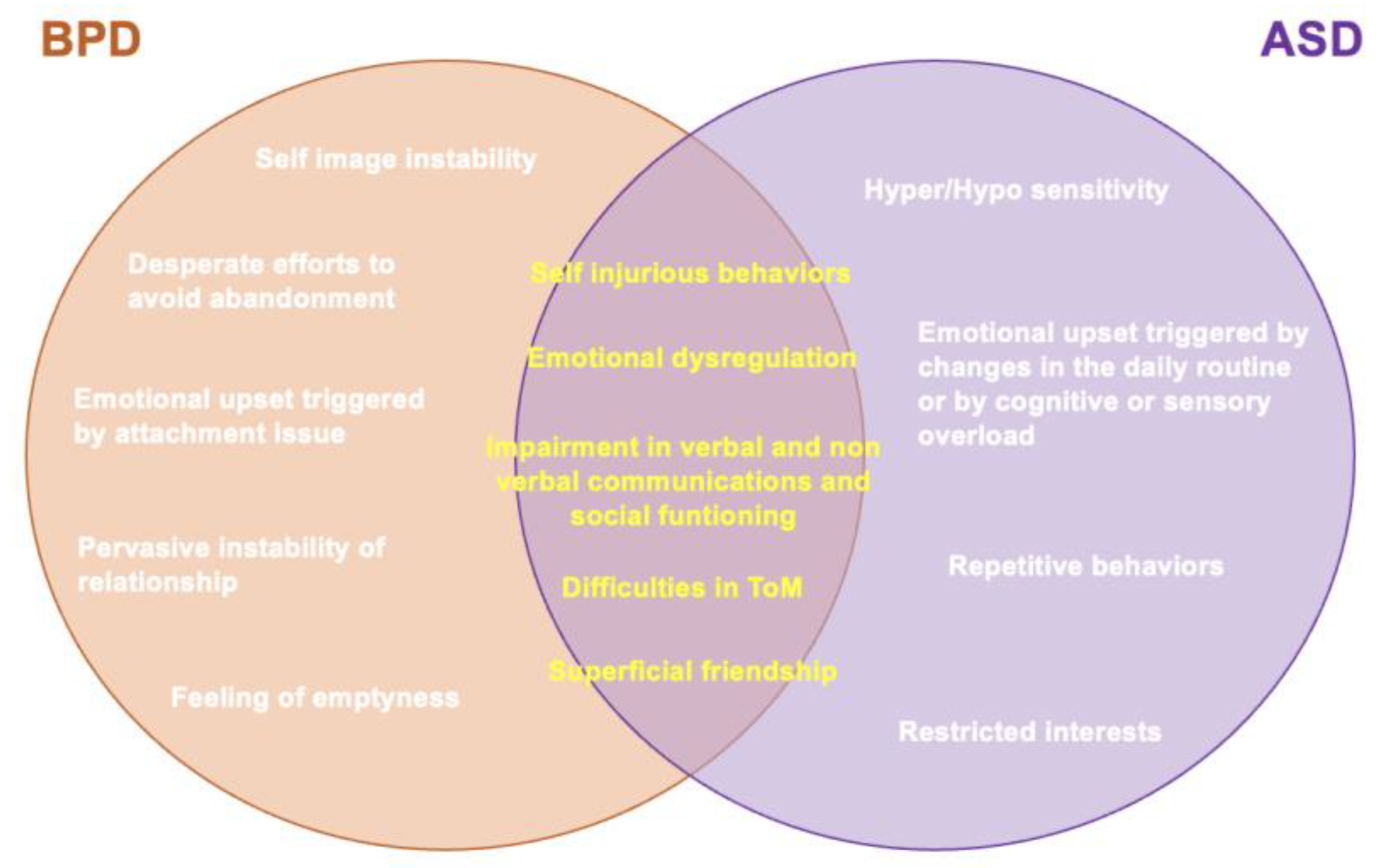 Brain Sciences, Free Full-Text