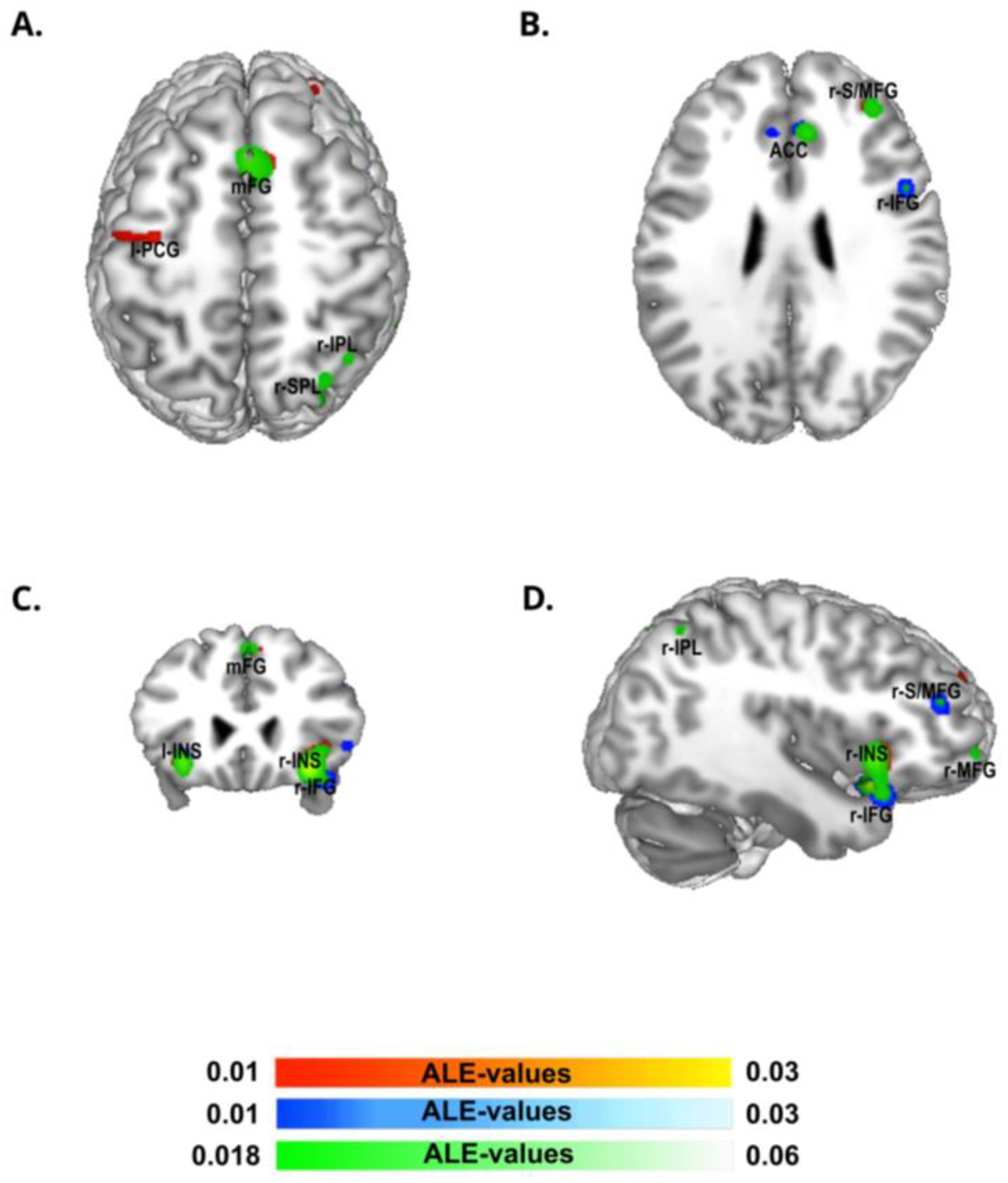 Brainsci 13 00907 g002 Brainsci 13 00907 g002