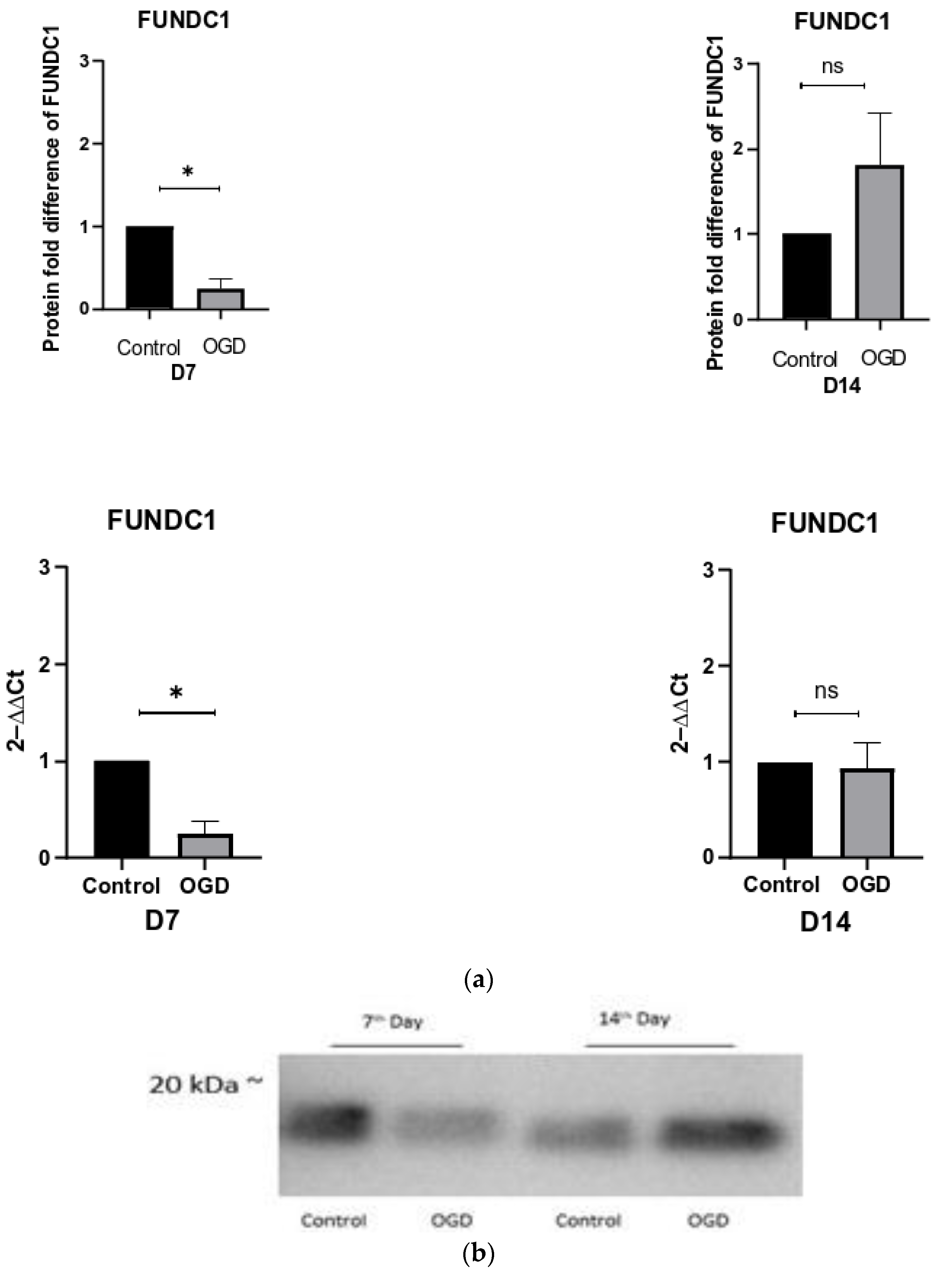 Brainsci 13 00910 g010 Brainsci 13 00910 g010