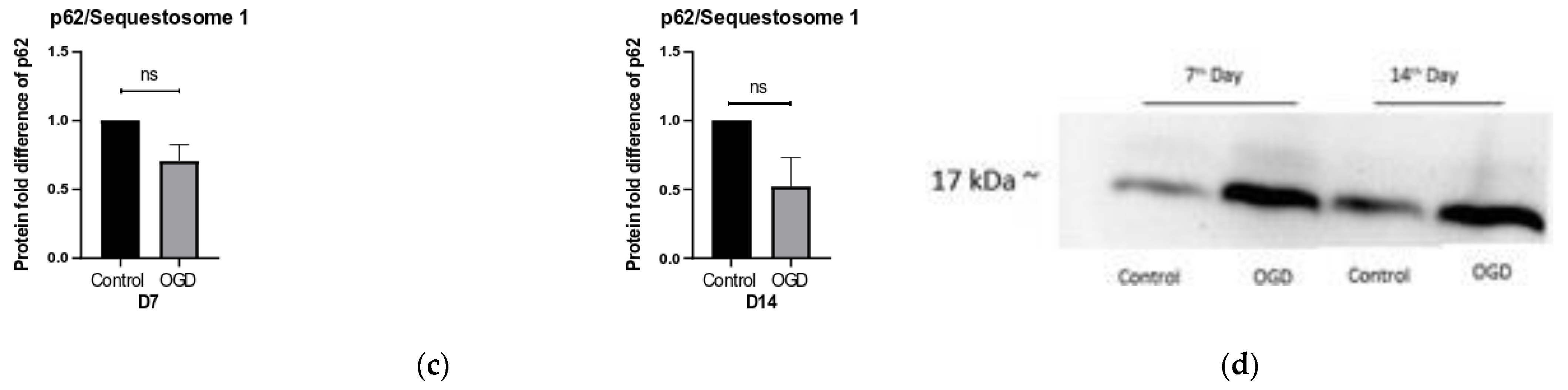 Brainsci 13 00910 g011b Brainsci 13 00910 g011b