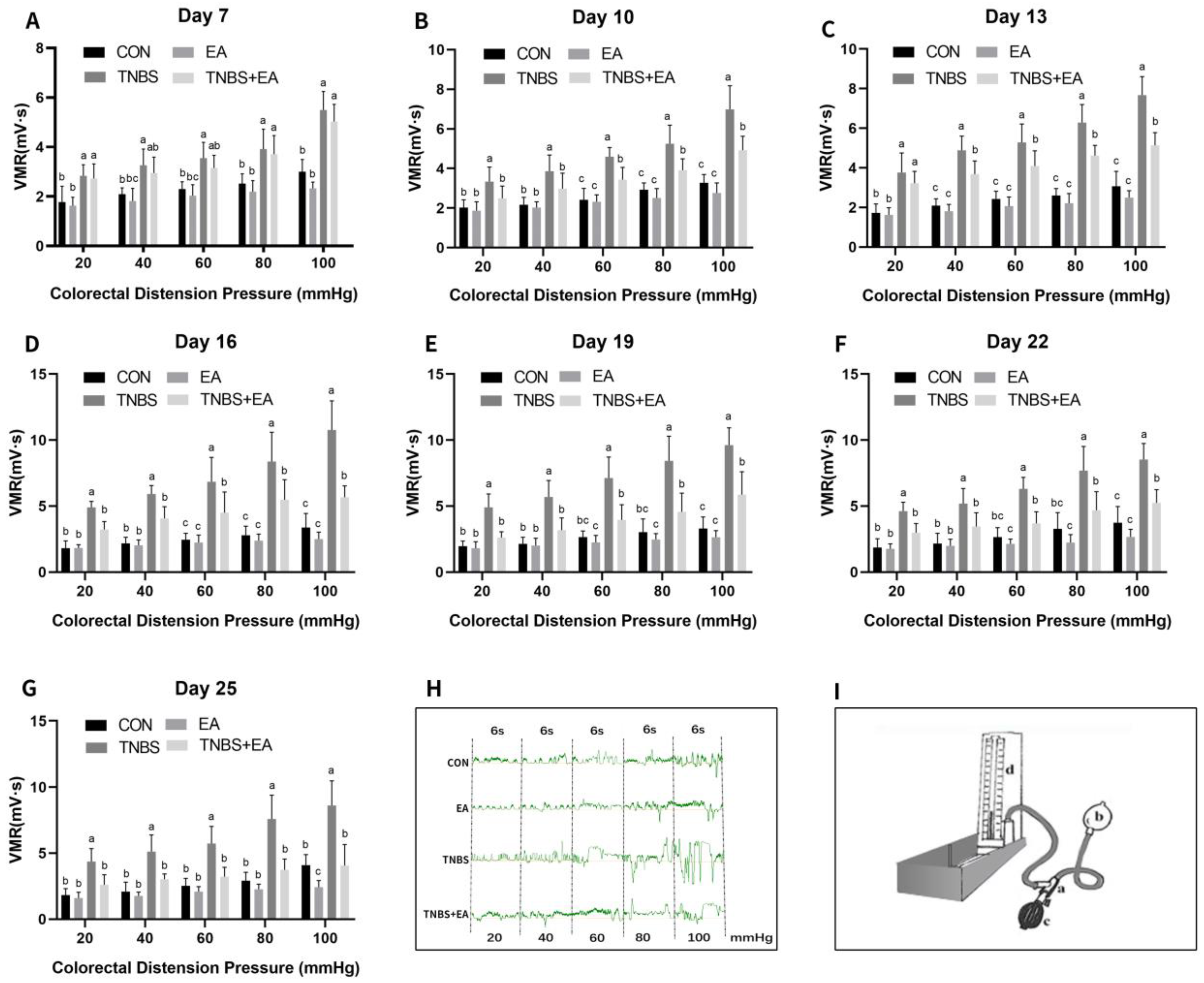 Brainsci 13 00922 g003 Brainsci 13 00922 g003