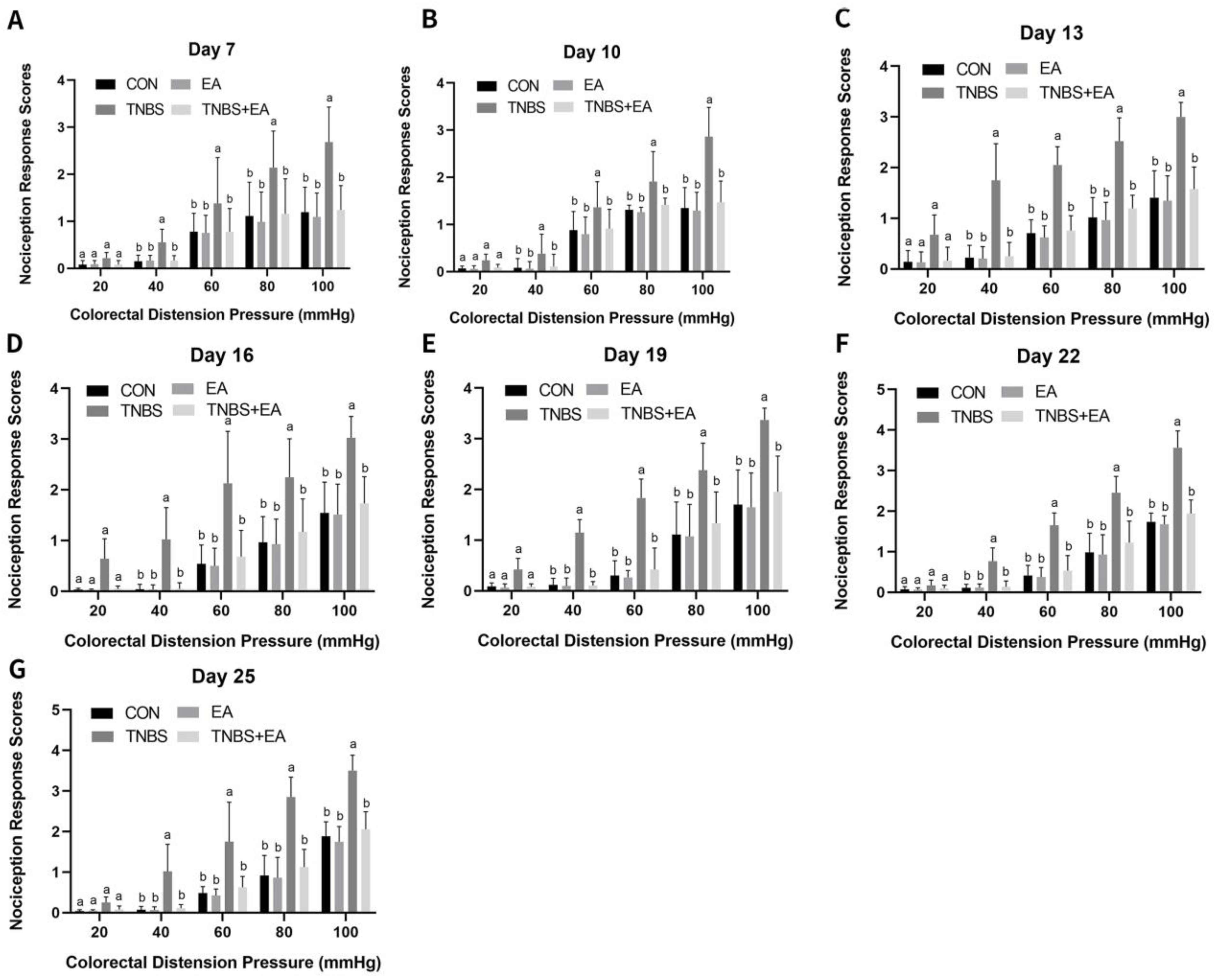 Brainsci 13 00922 g004 Brainsci 13 00922 g004