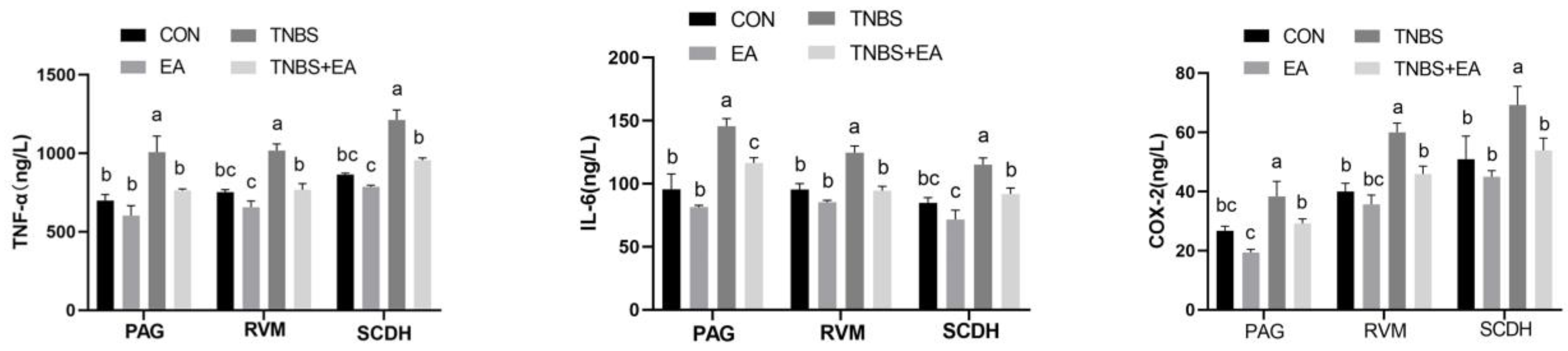Brainsci 13 00922 g005 Brainsci 13 00922 g005