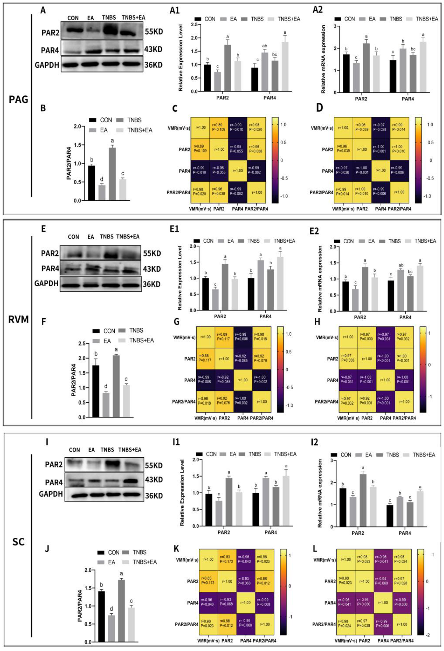Brainsci 13 00922 g006 Brainsci 13 00922 g006