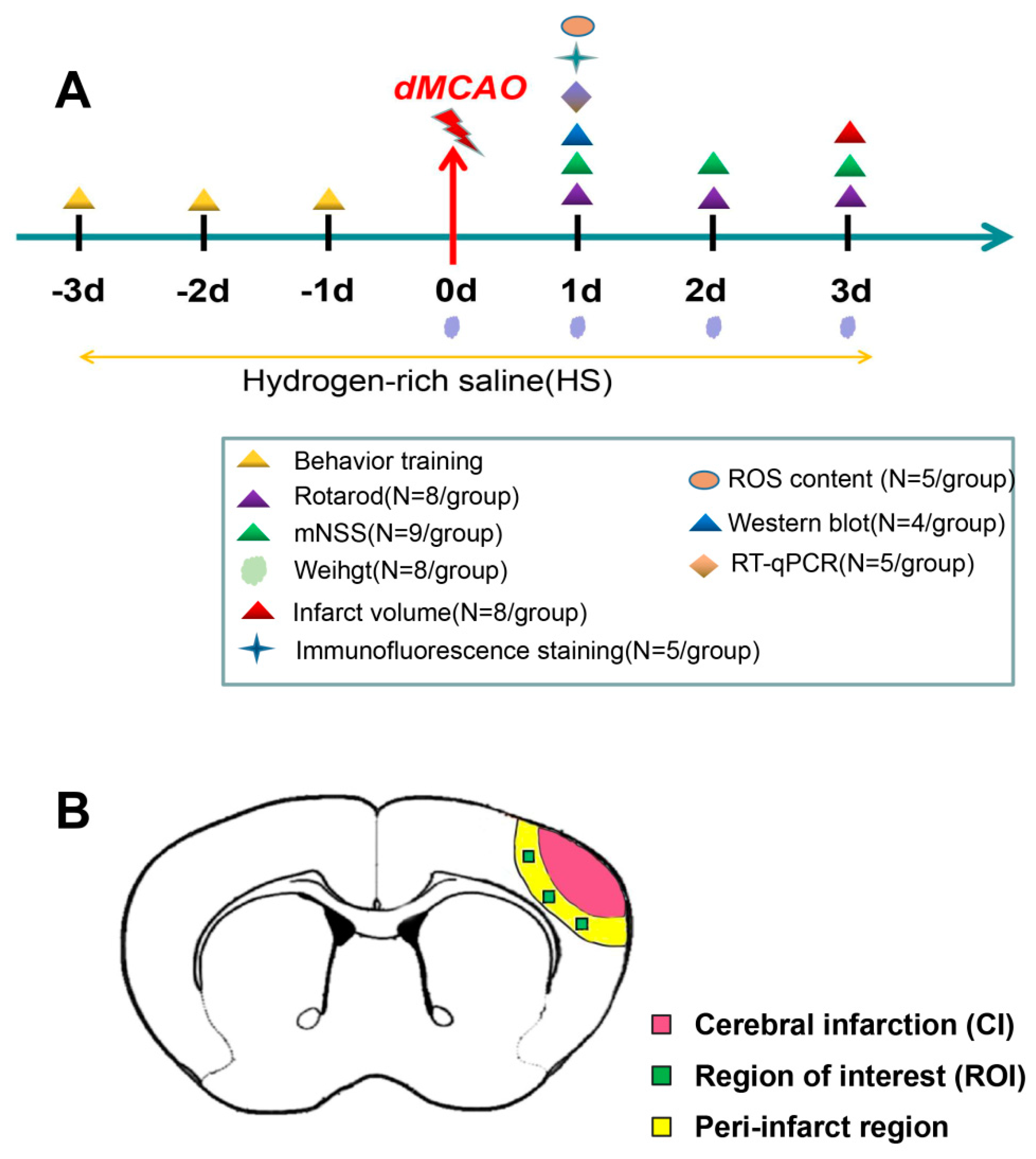 Brain and Behavior: Vol 13, No 9