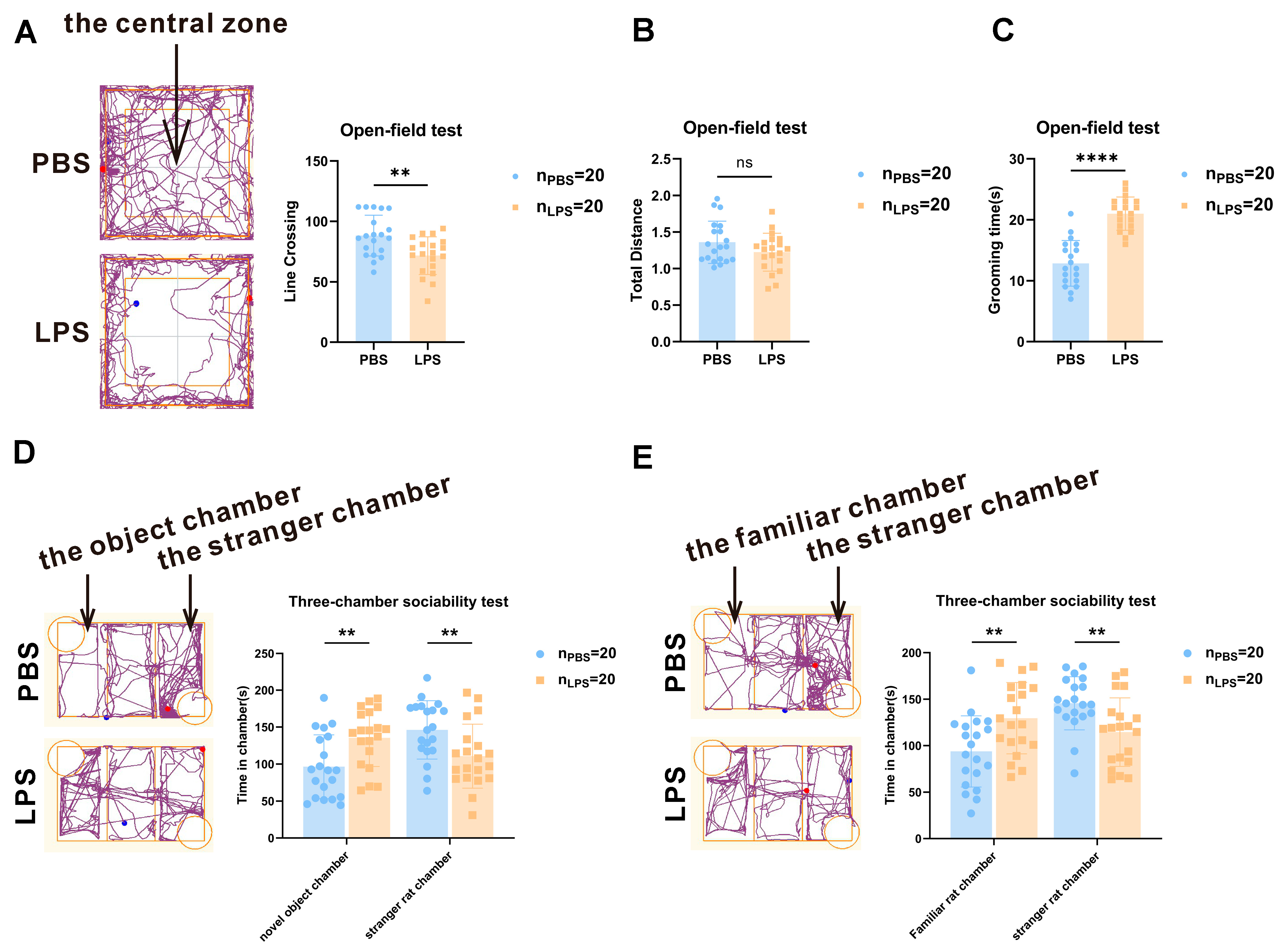 Brainsci 13 00958 g002