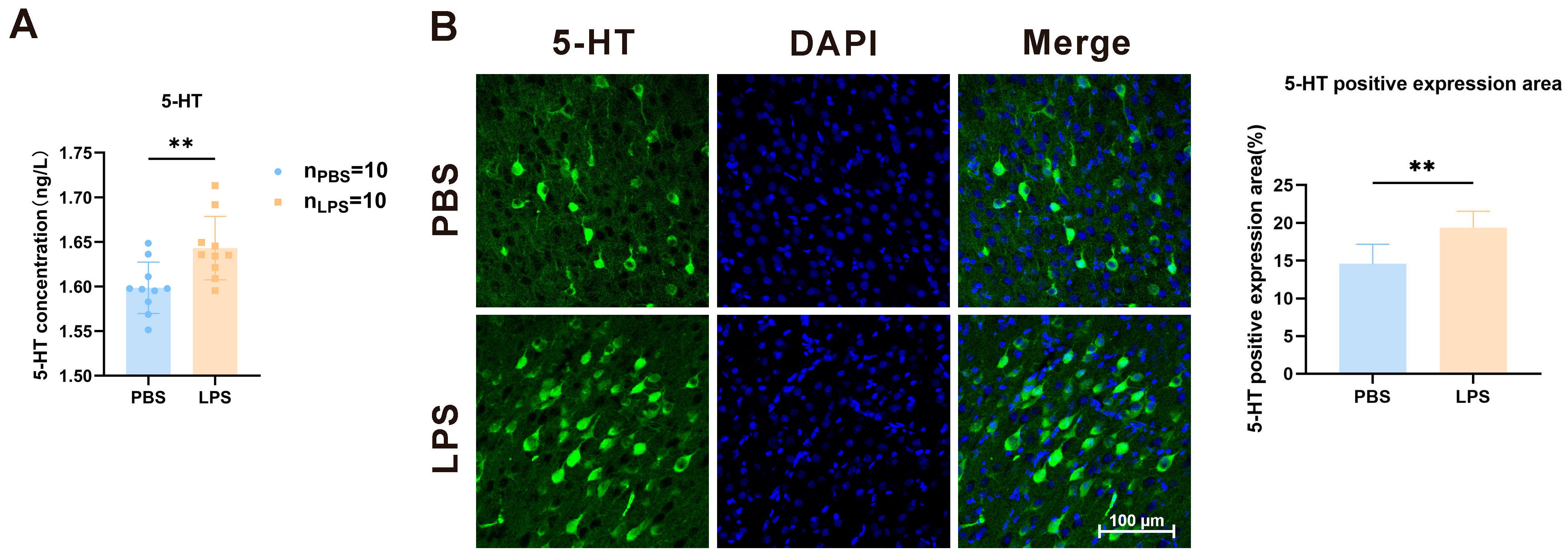 Brainsci 13 00958 g004