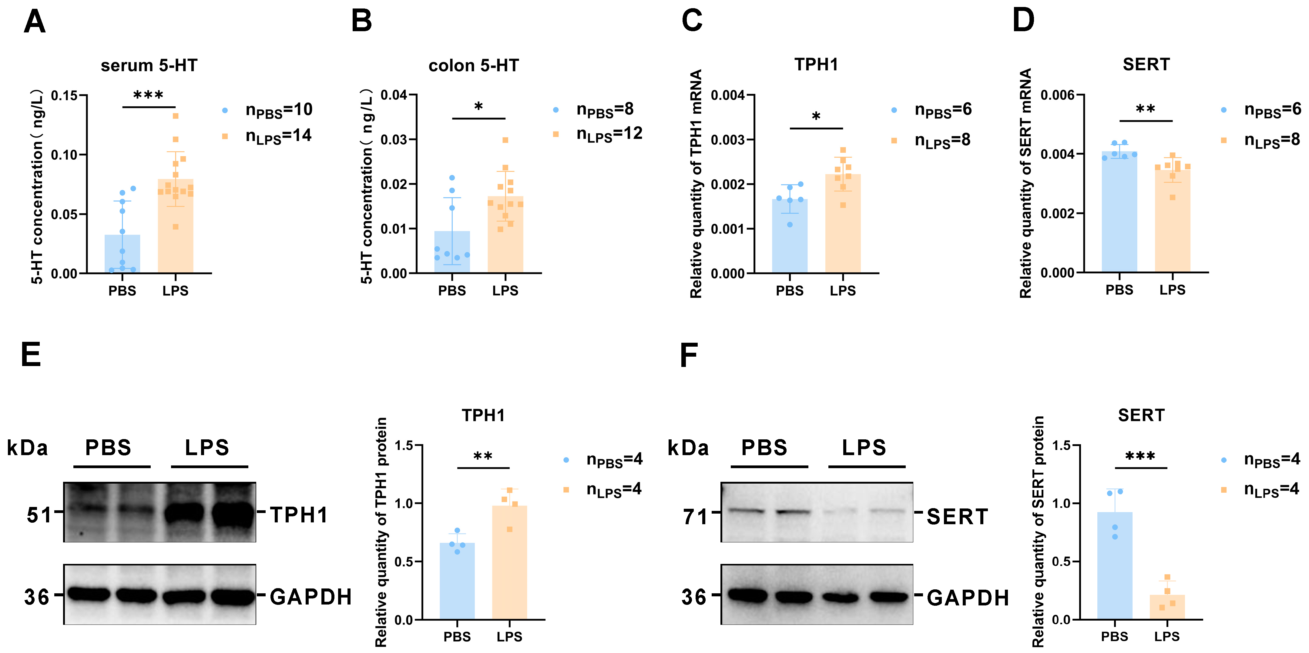 Brainsci 13 00958 g007