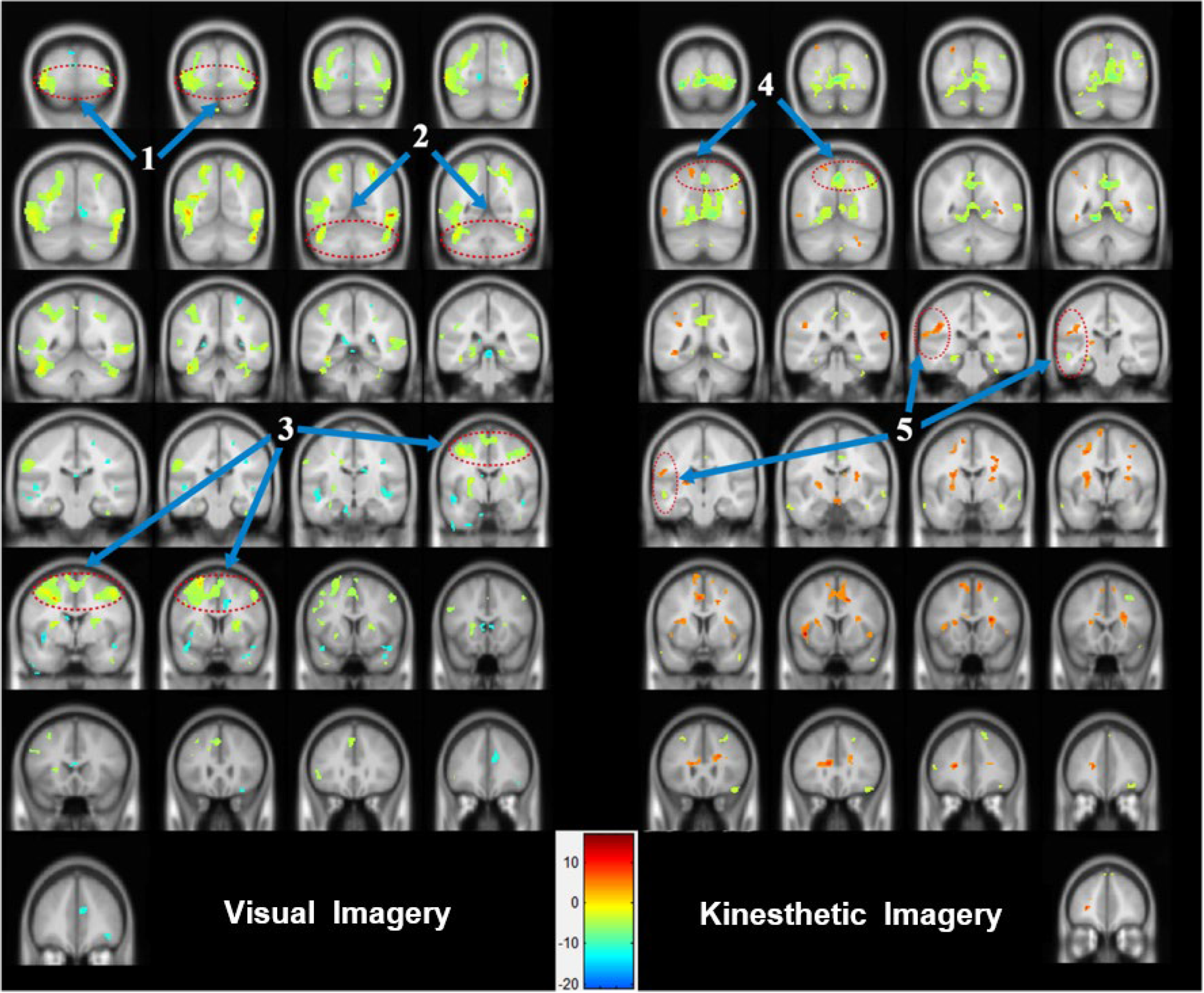 Visual Imaging