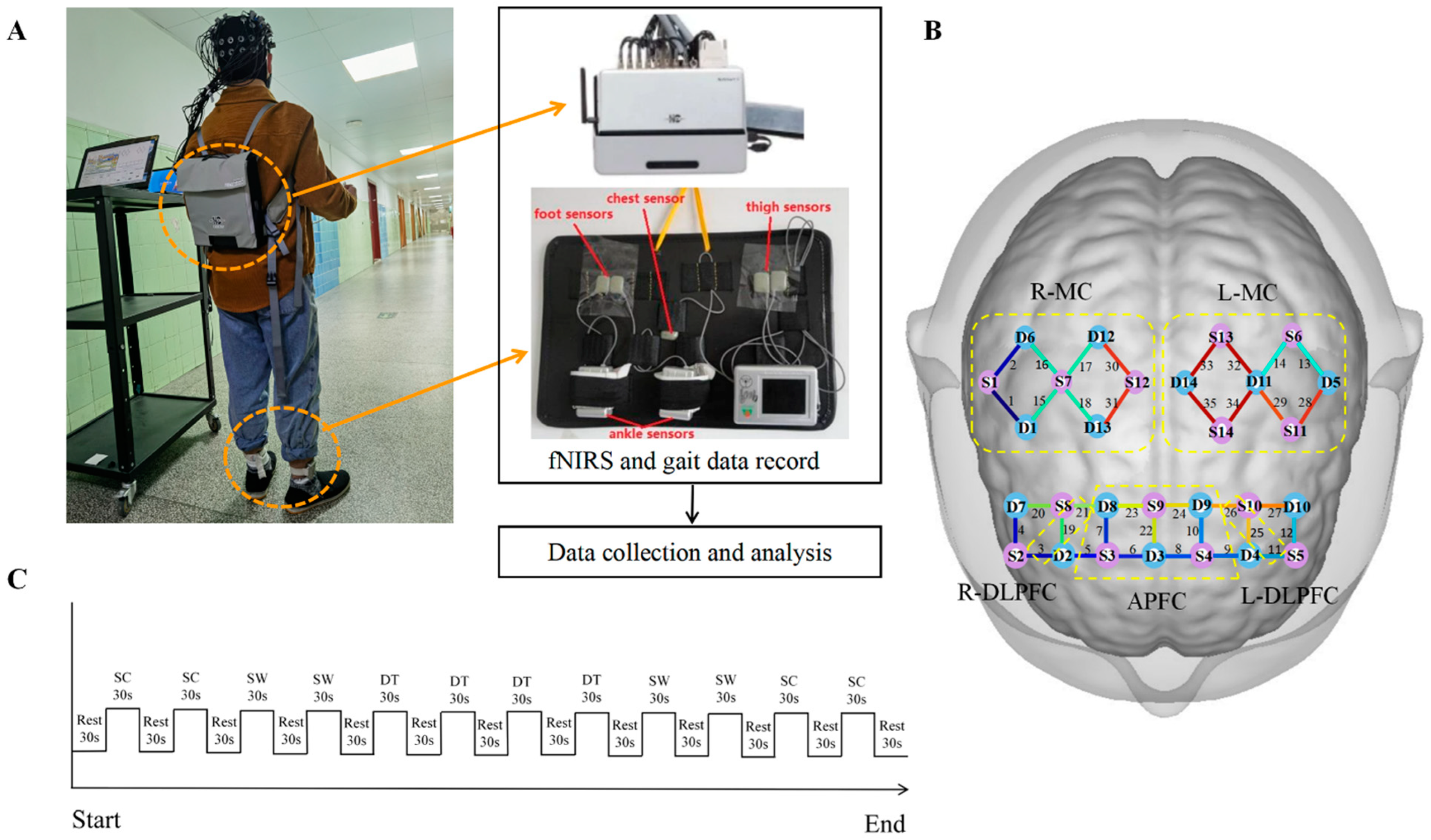 Brain Sciences, Free Full-Text