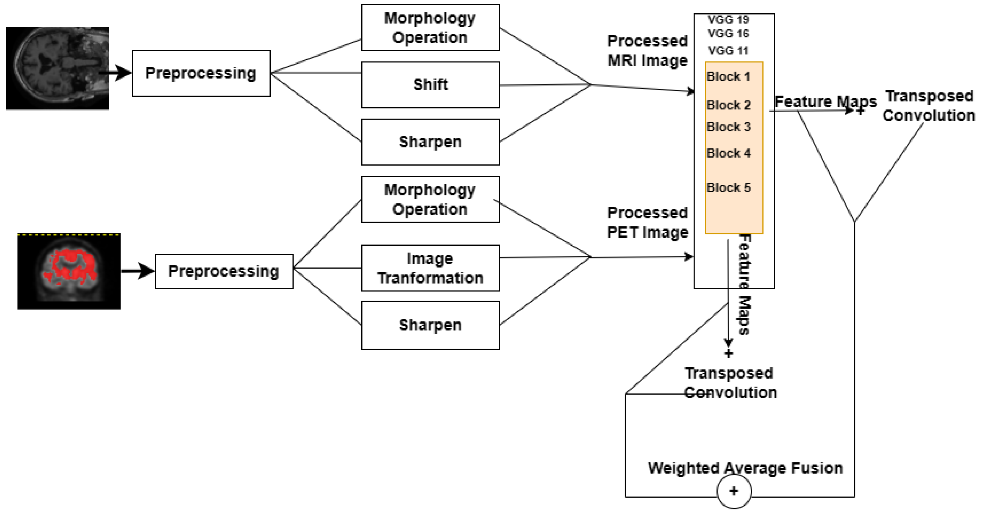 Brainsci 13 01045 g001 Brainsci 13 01045 g001
