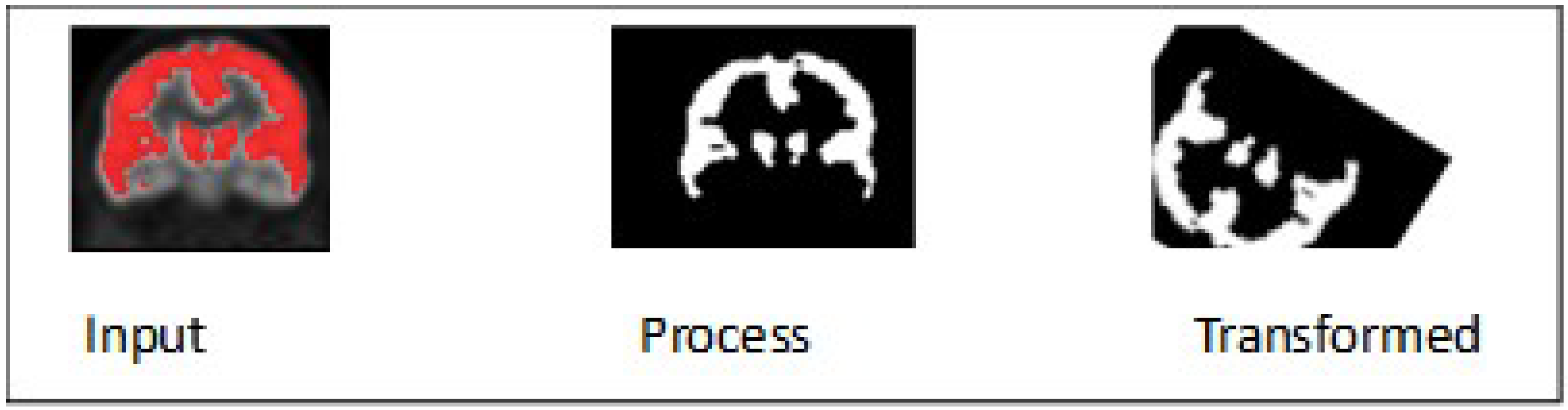 Brainsci 13 01045 g005 Brainsci 13 01045 g005