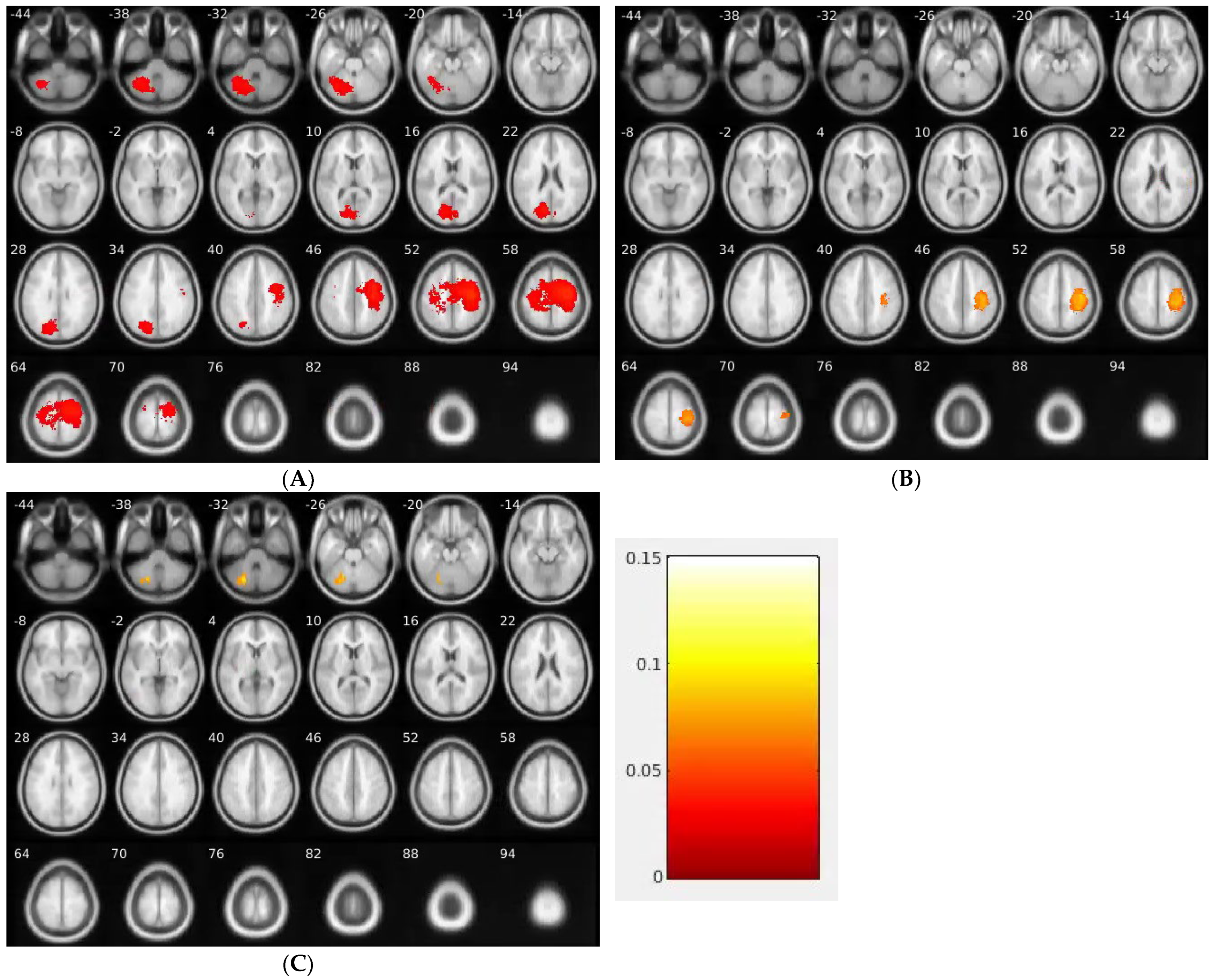 Brainsci 13 01057 g002