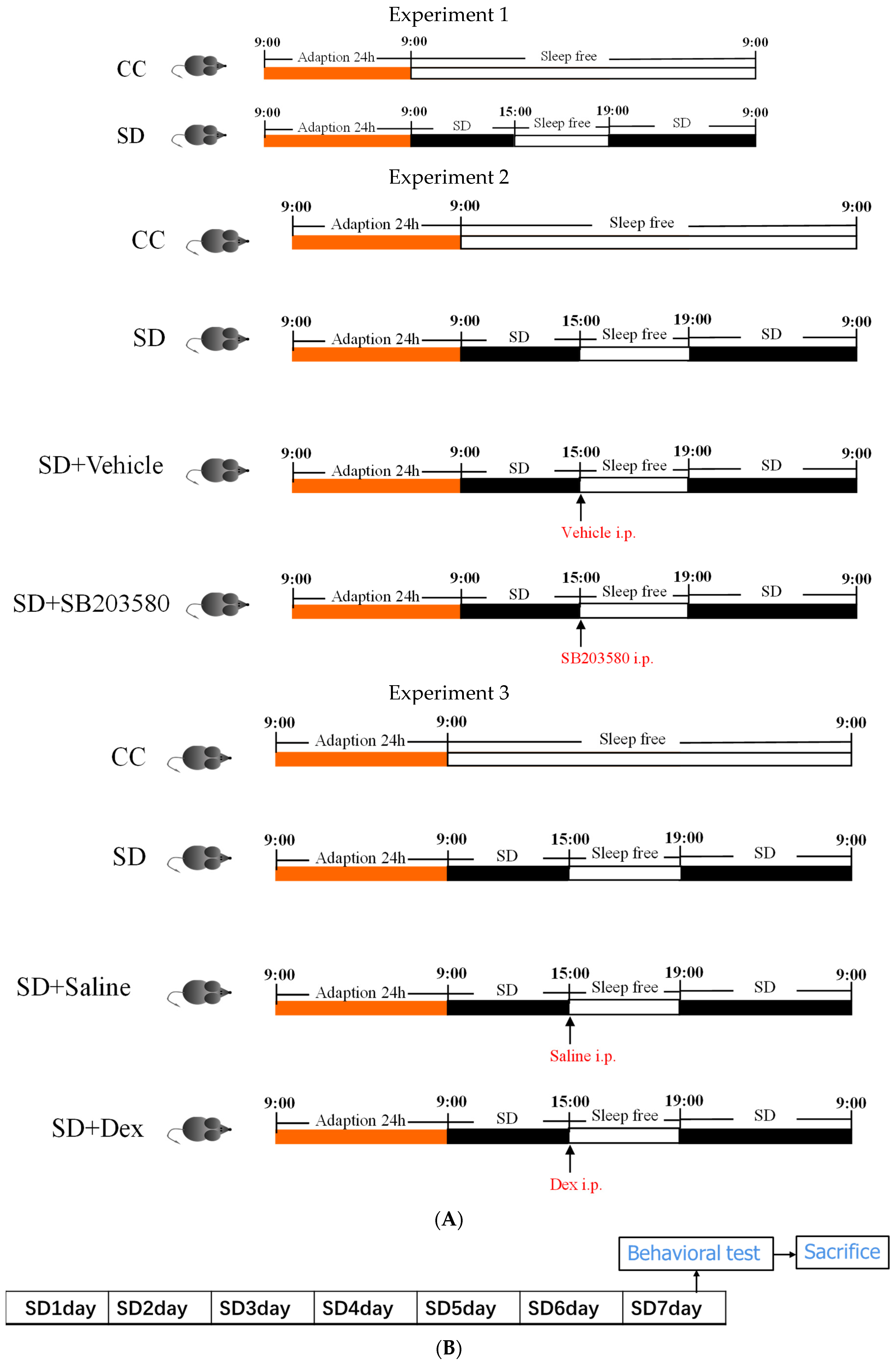 Brain Sciences | Free Full-Text | Dexmedetomidine Improves Anxiety-like