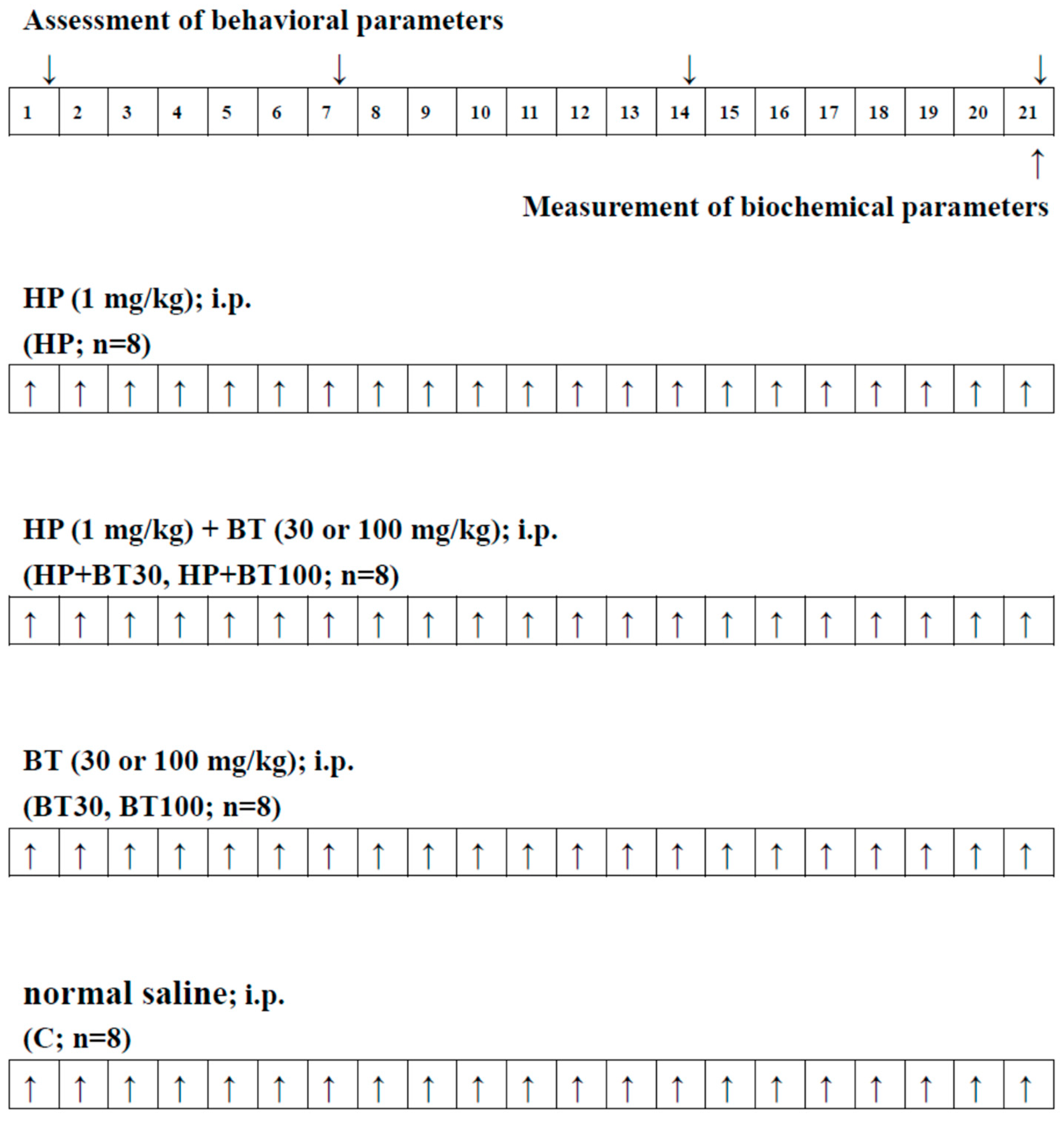 Brainsci 13 01064 g001