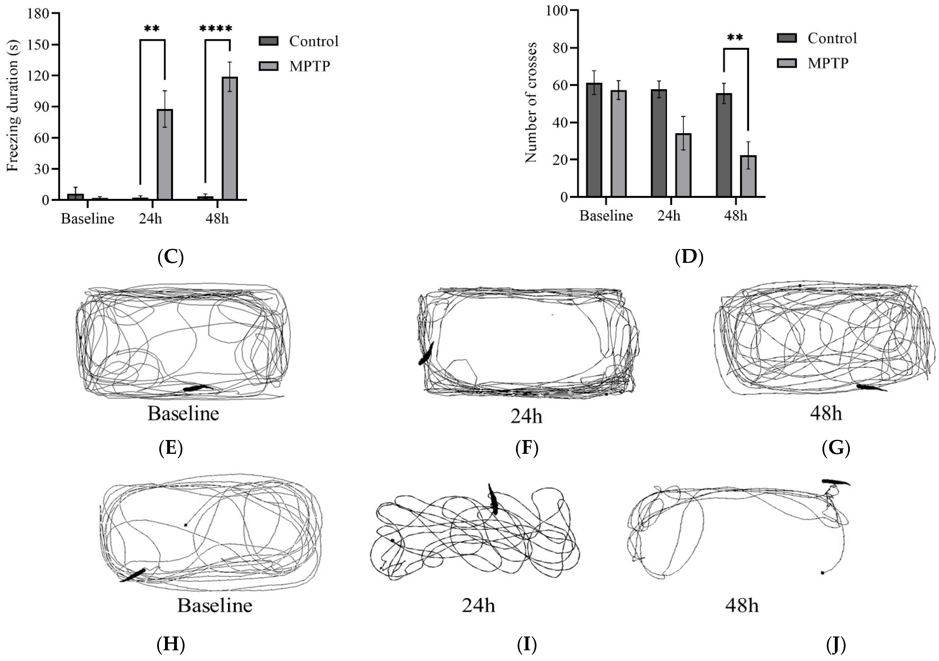 Brainsci 13 01076 g004b
