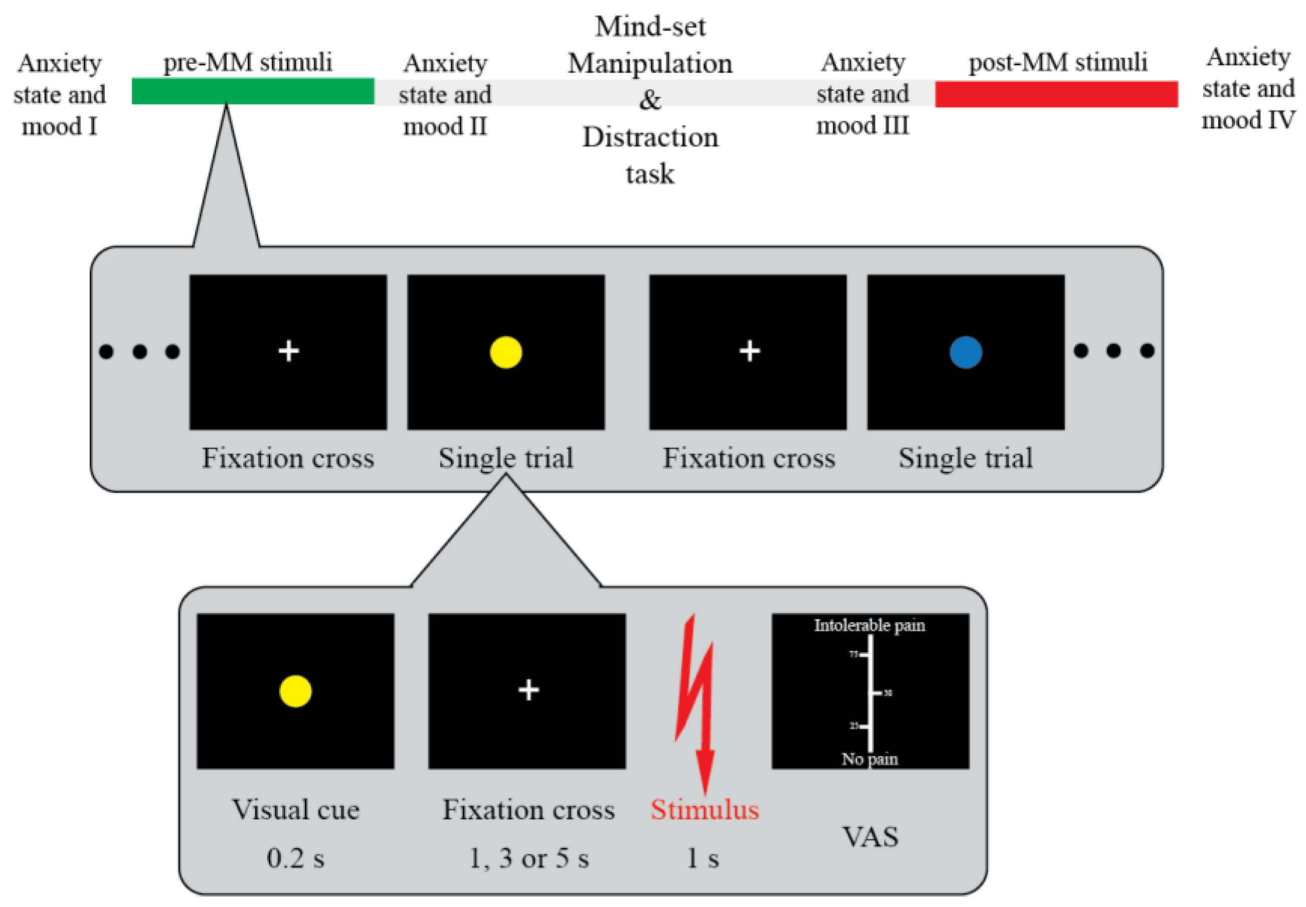 Brainsci 13 01077 g001