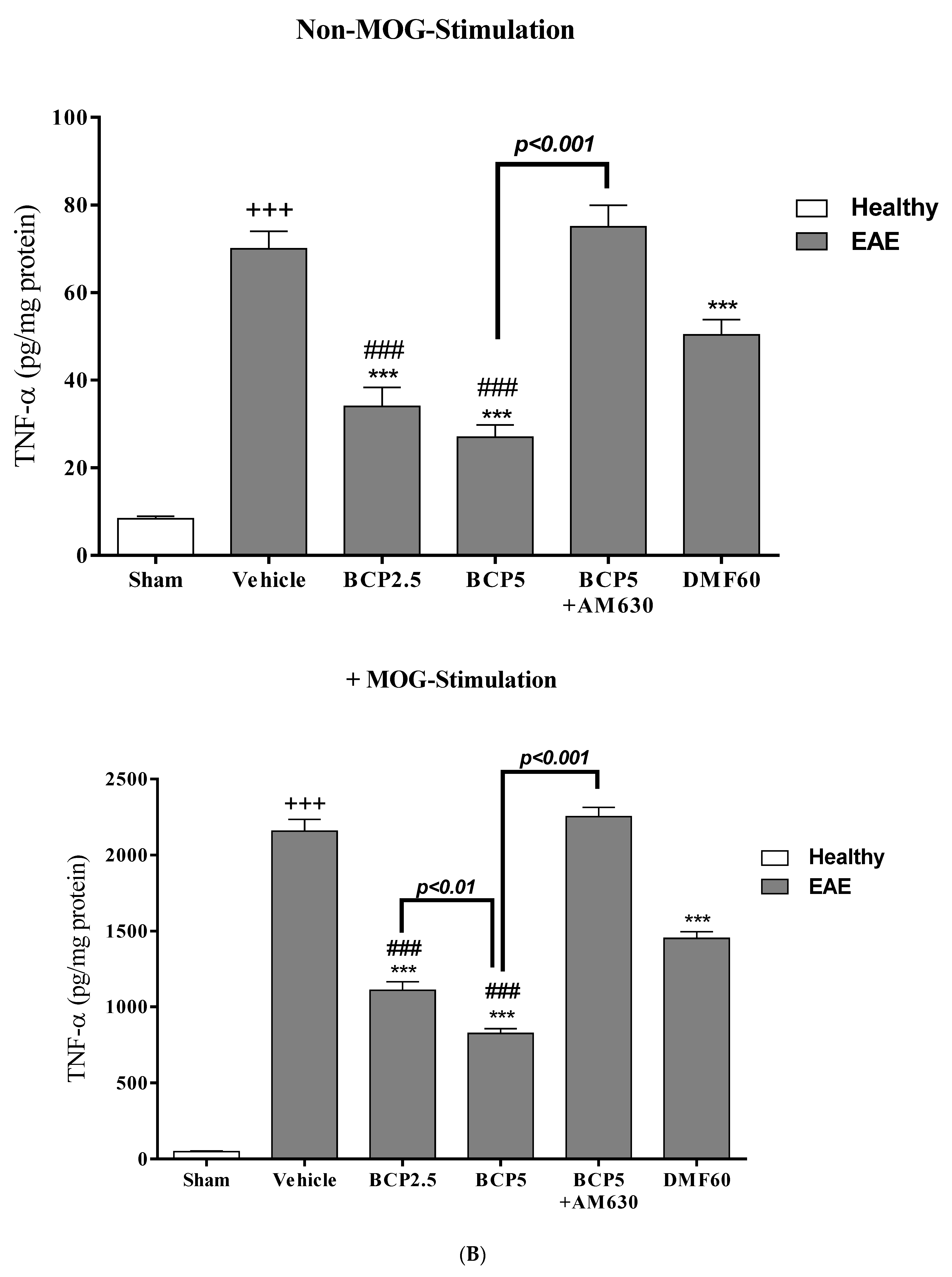 Brainsci 13 01092 g005b Brainsci 13 01092 g005b