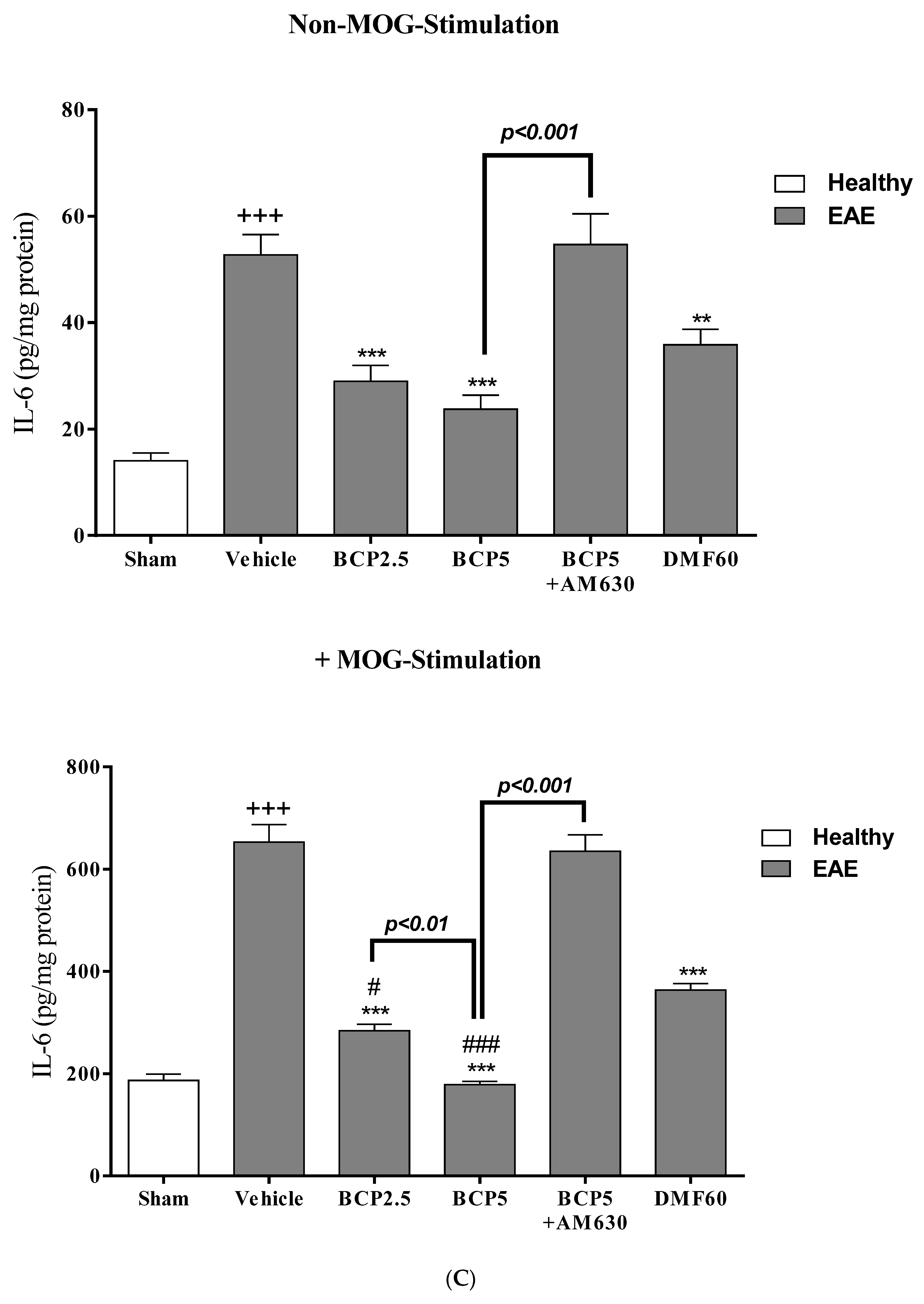 Brainsci 13 01092 g005c Brainsci 13 01092 g005c