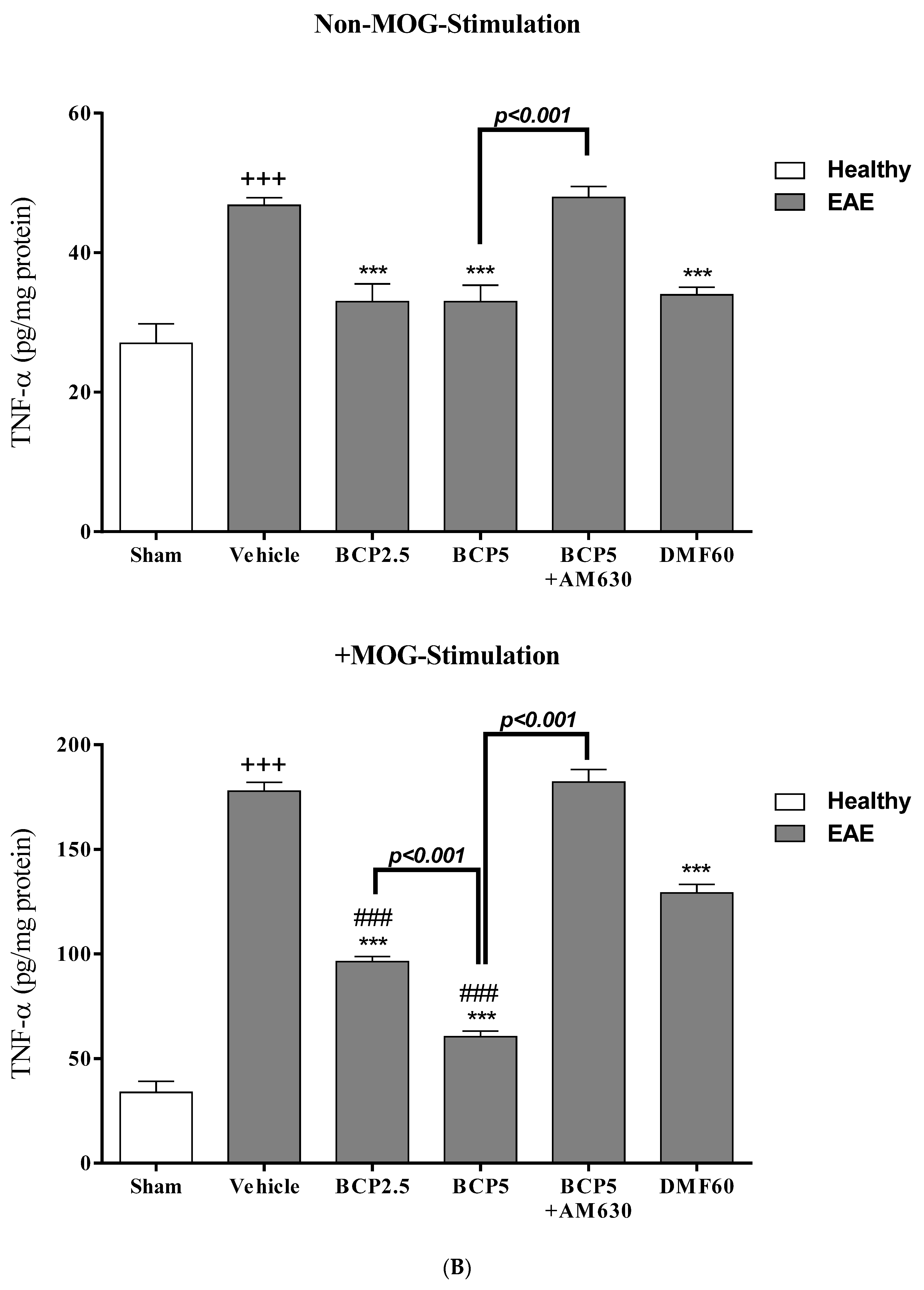 Brainsci 13 01092 g007b Brainsci 13 01092 g007b