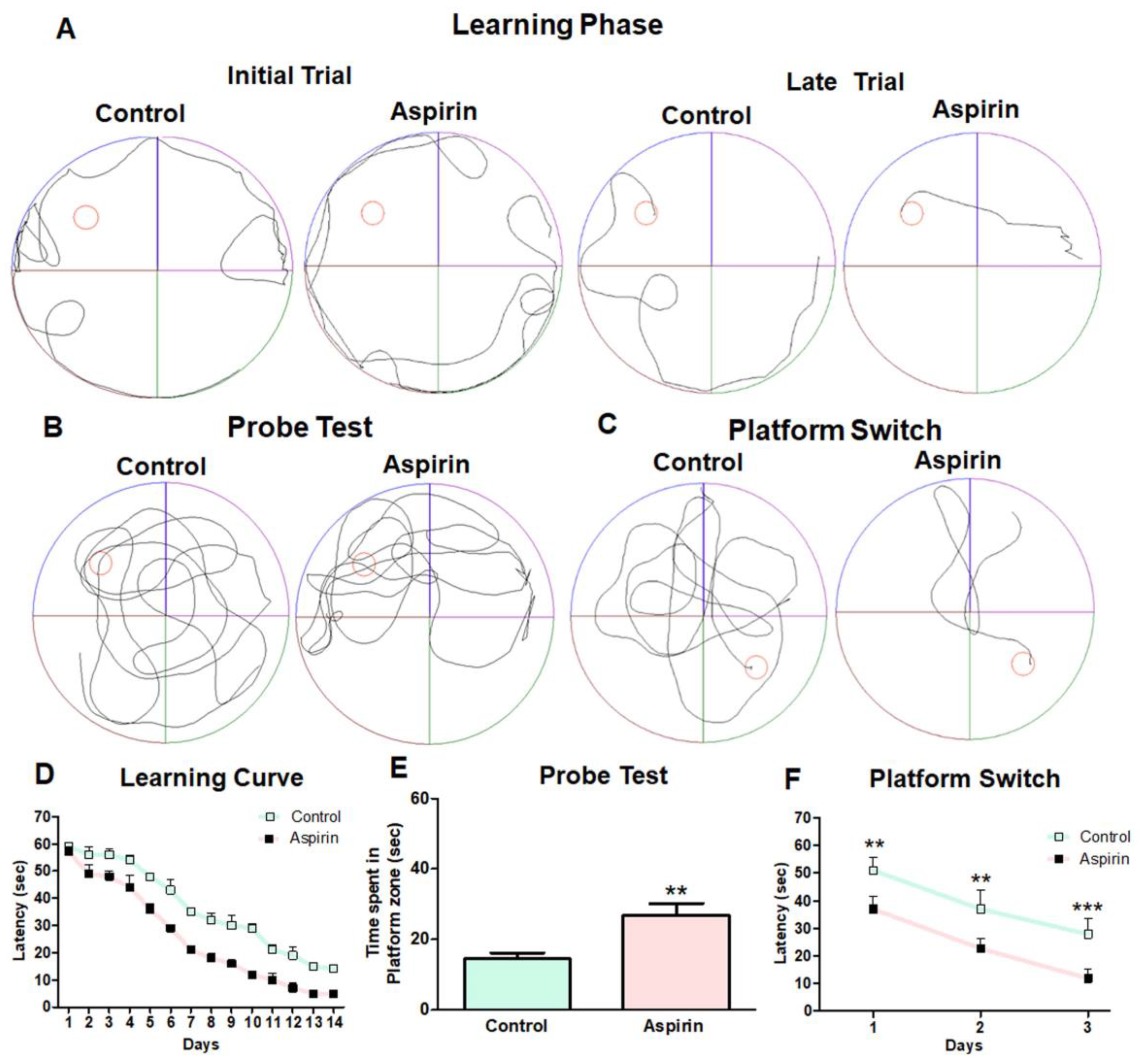 Brainsci 13 01108 g003 Brainsci 13 01108 g003