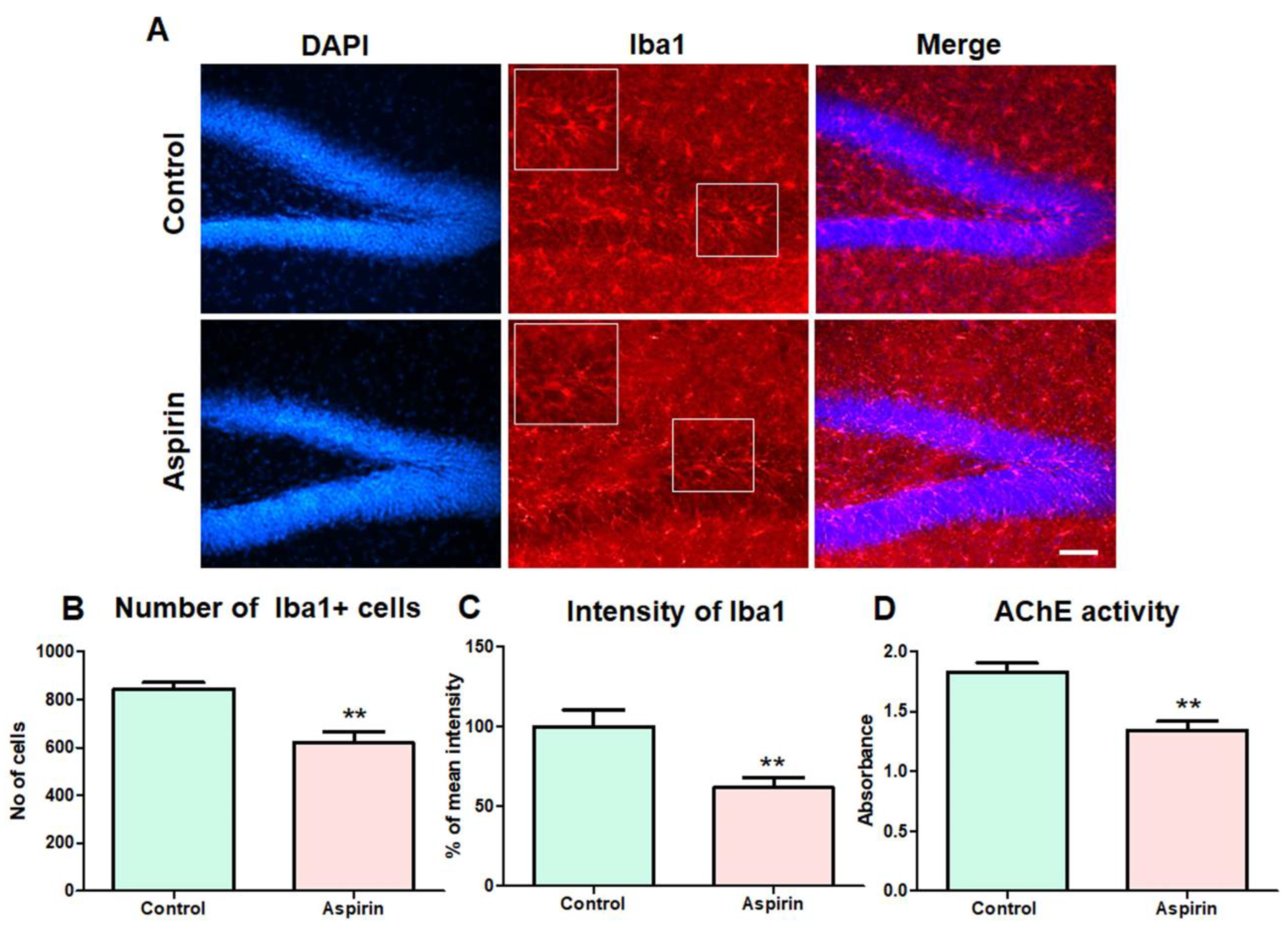 Brainsci 13 01108 g006 Brainsci 13 01108 g006