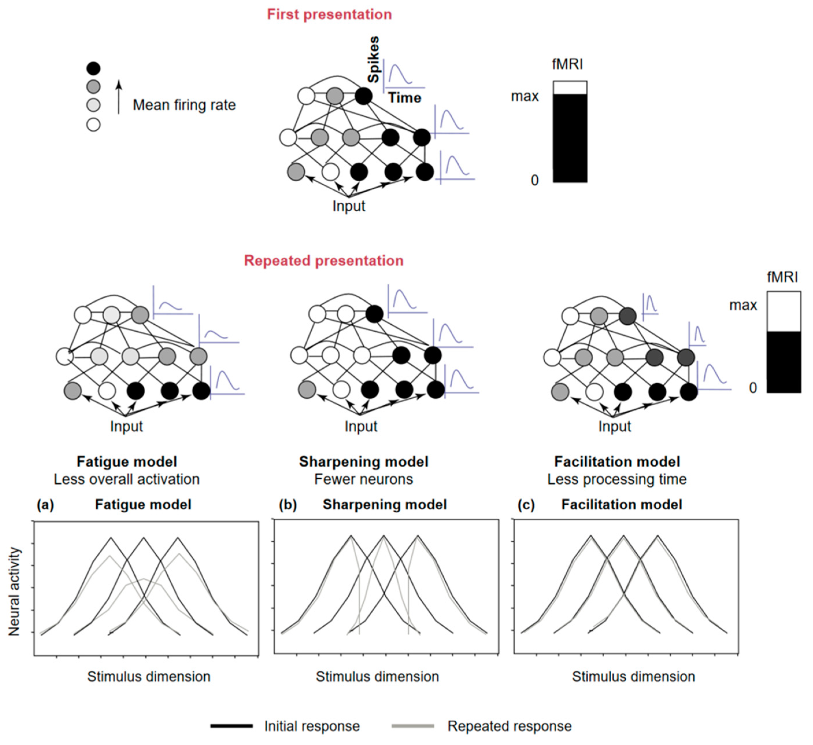 Brainsci 13 01110 g001