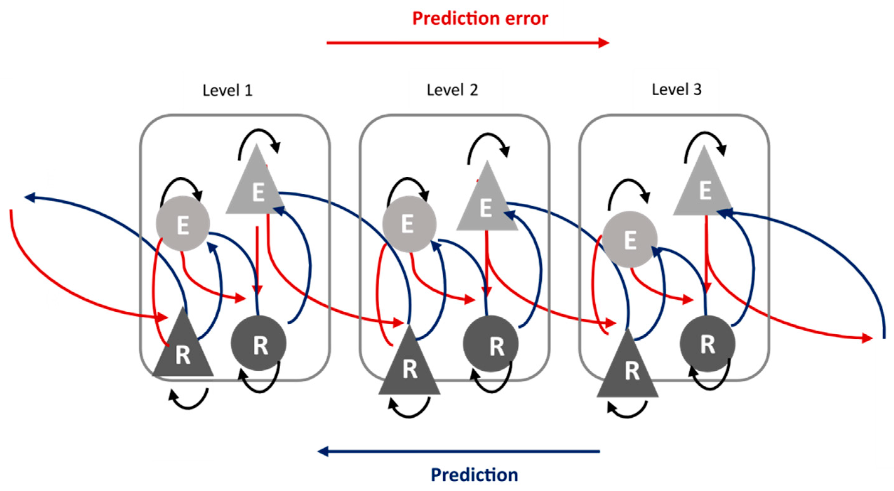 Brainsci 13 01110 g003