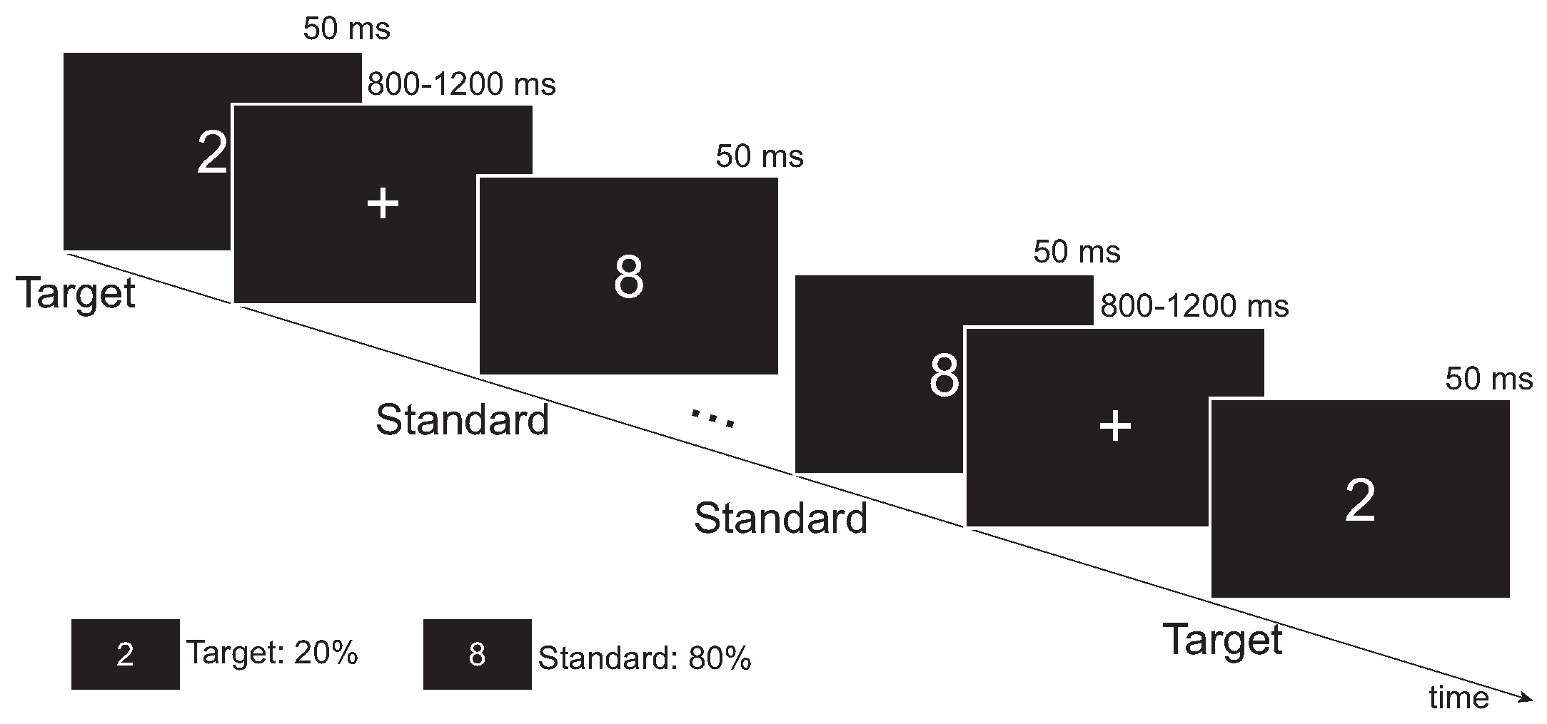 Brainsci 13 01143 g001 Brainsci 13 01143 g001