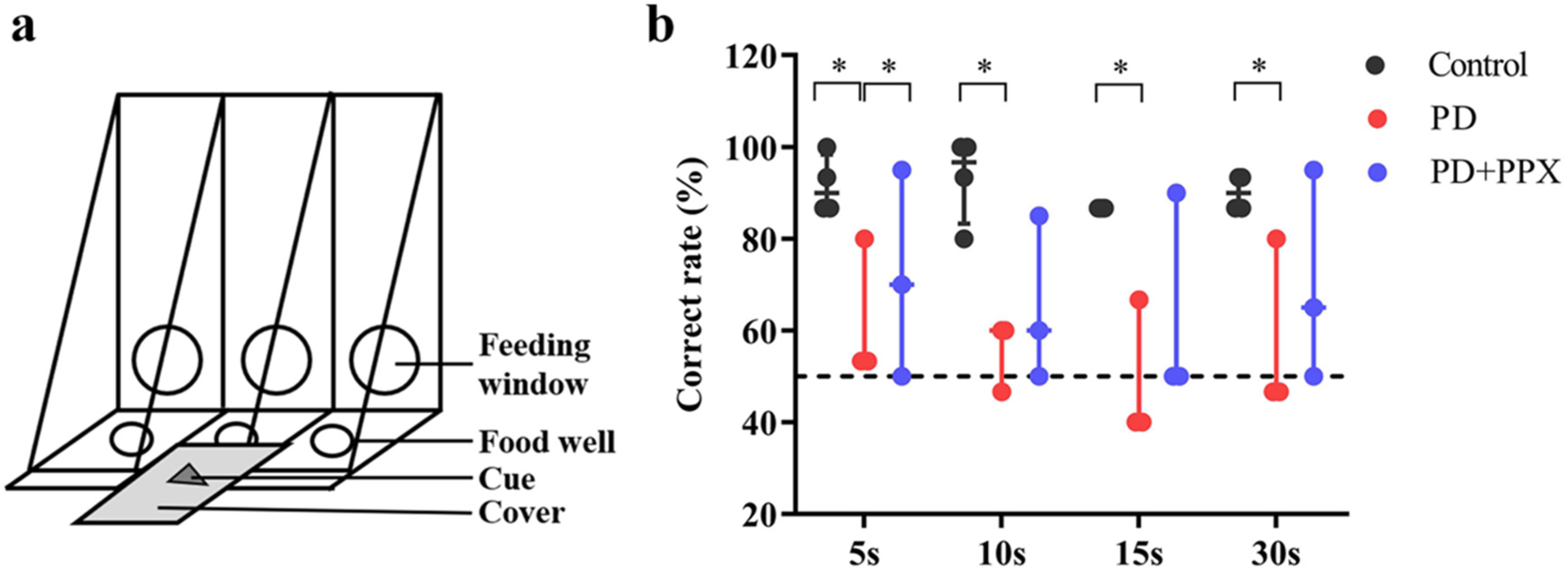 Brainsci 13 01153 g001