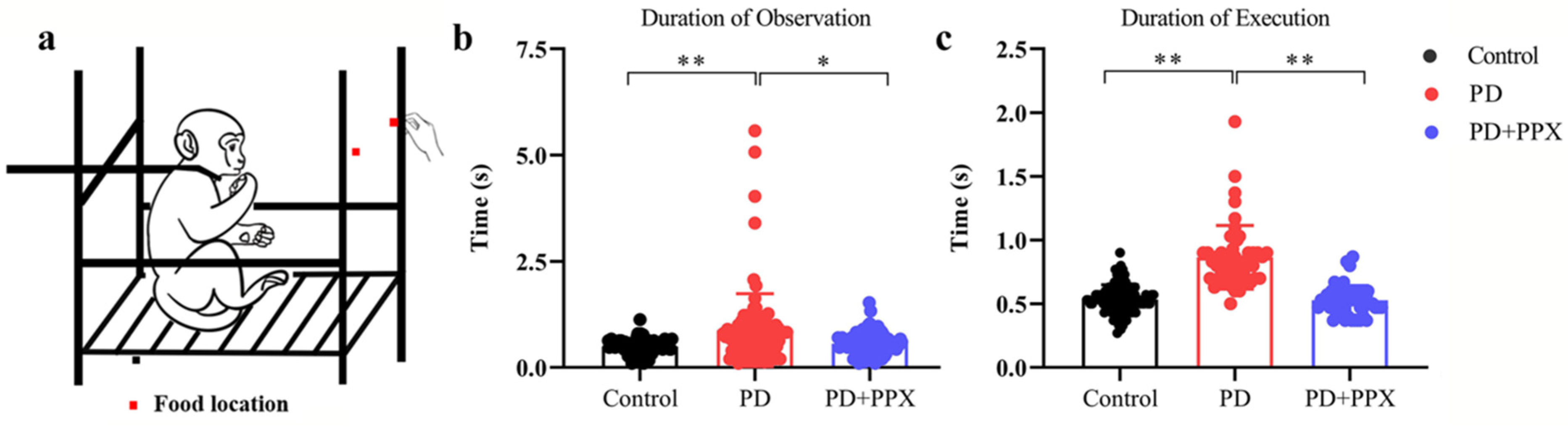 Brainsci 13 01153 g003