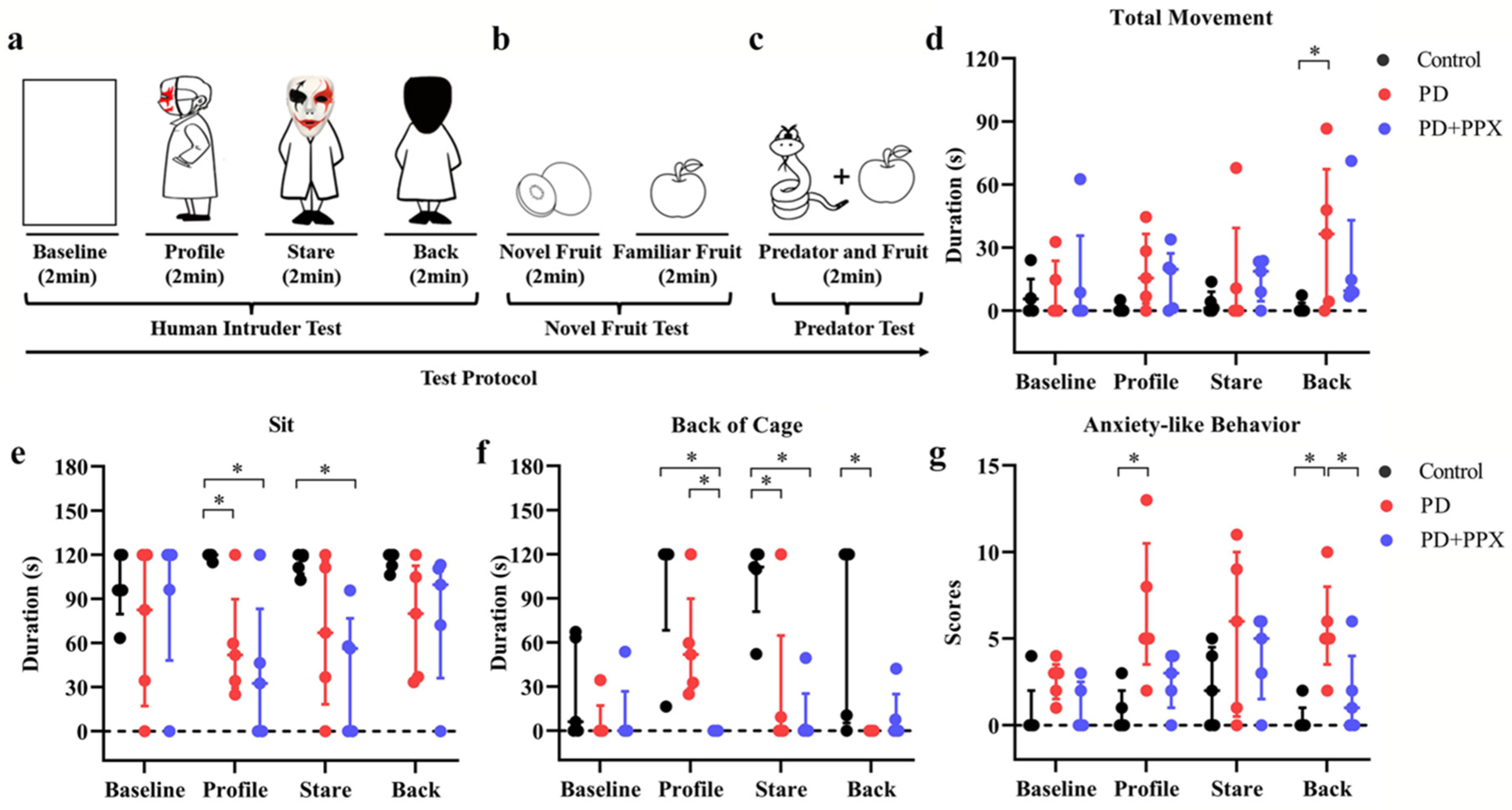 Brainsci 13 01153 g004