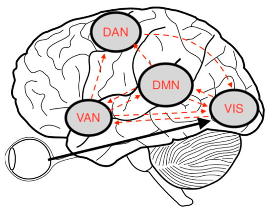 Brain Sciences, Free Full-Text