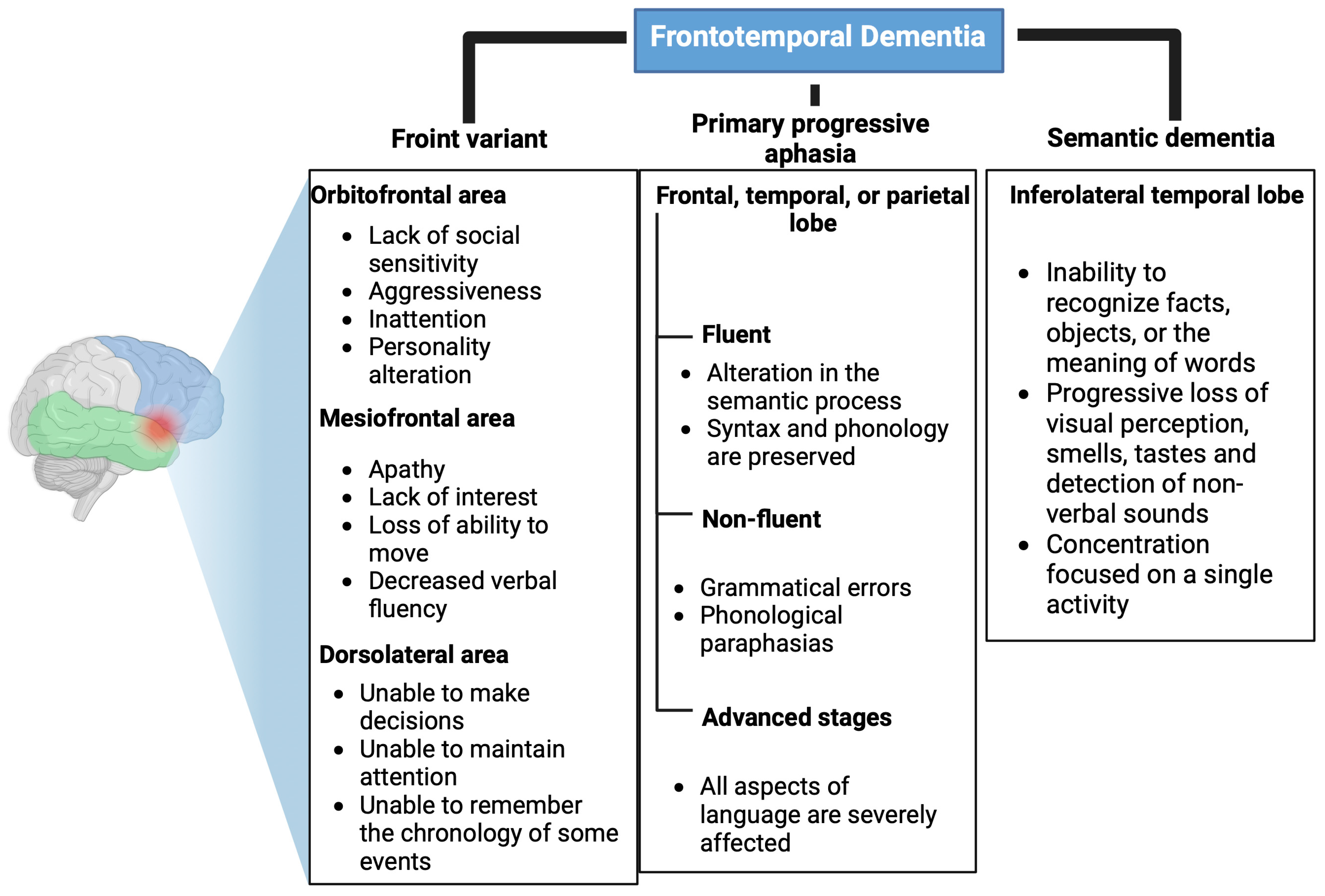 Brainsci 13 01194 g001 Brainsci 13 01194 g001