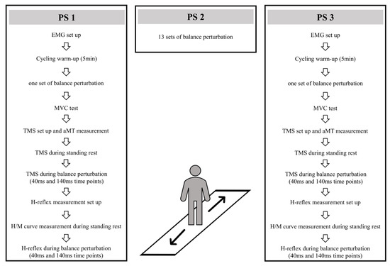 Brain Sciences, Free Full-Text